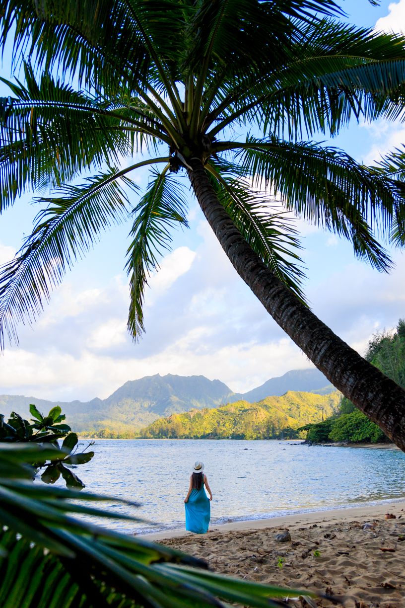 Palm tree framing view of woman on beach with mountains in background.