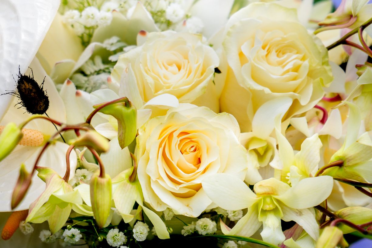 Elegant arrangement of cream roses and white orchids for wedding decoration.