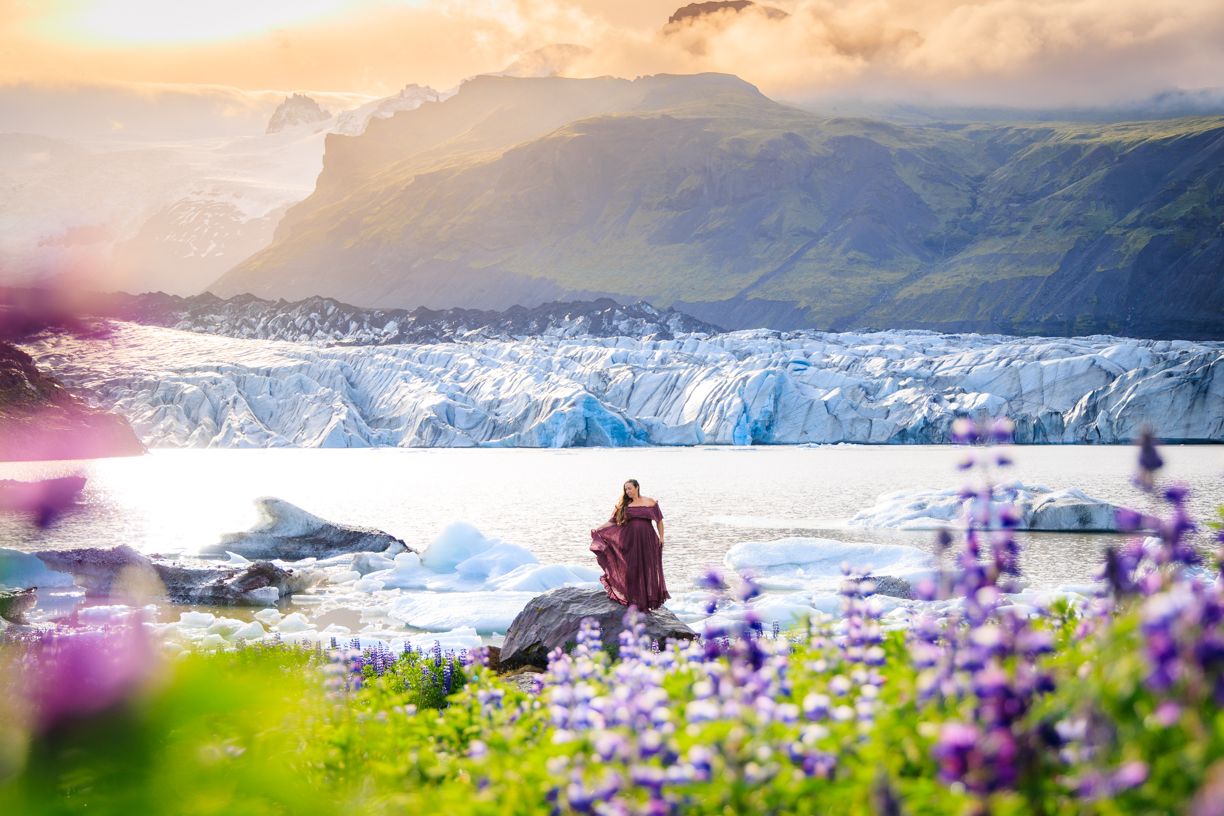 Scenic Alaska landscape with purple wildflowers in foreground and massive glacier in background.