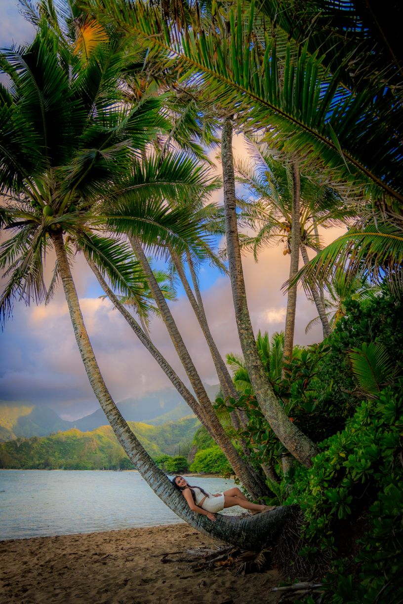 Palm trees lean over tropical beach with mountains and ocean in background during sunset.