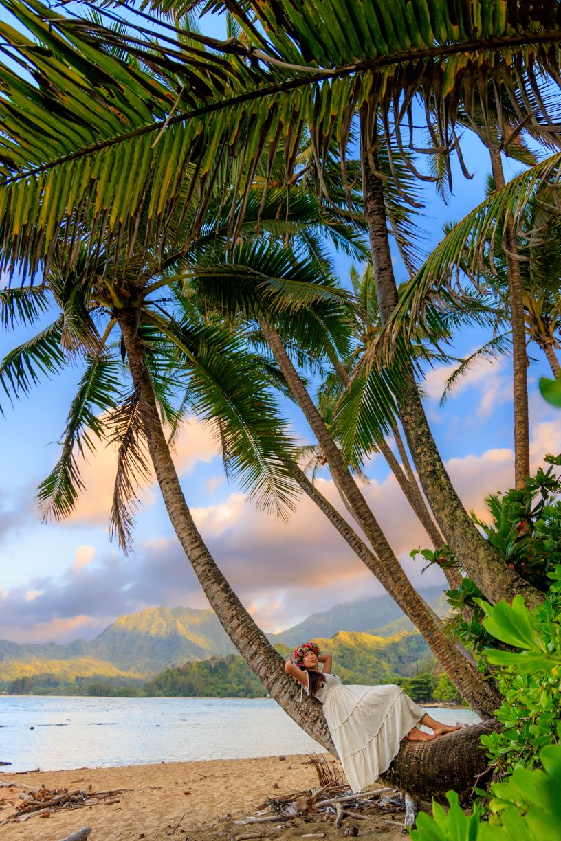 Tropical beach paradise with swaying palm trees and mountain views in Hawaii.