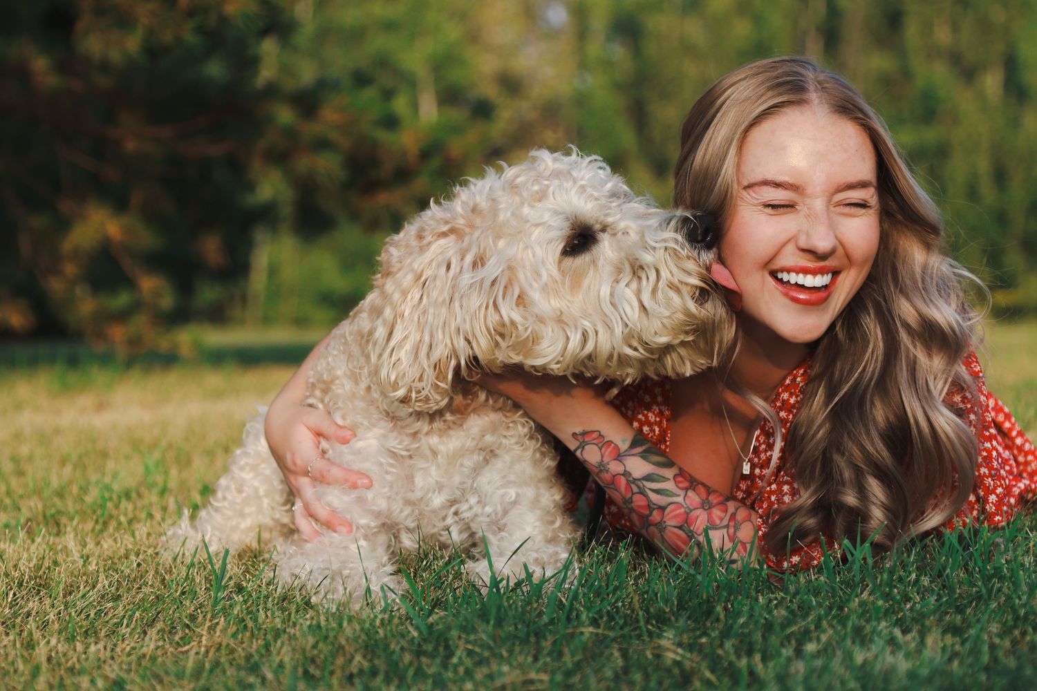 A laughing young woman with long hair cuddles a fluffy white Goldendoodle dog on green grass in a sunny park.