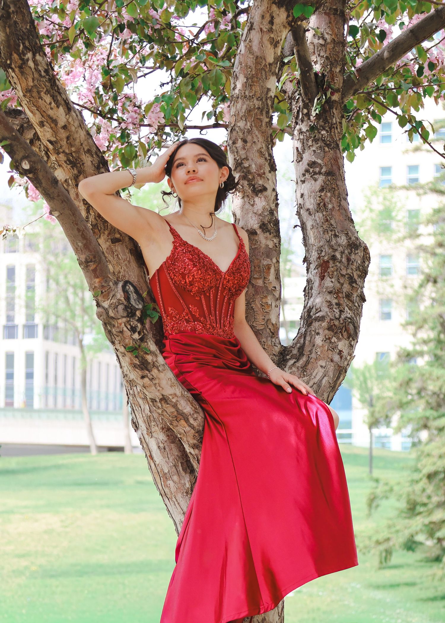 Beautiful graduate in red satin formal gown sitting gracefully in flowering tree for senior photos.