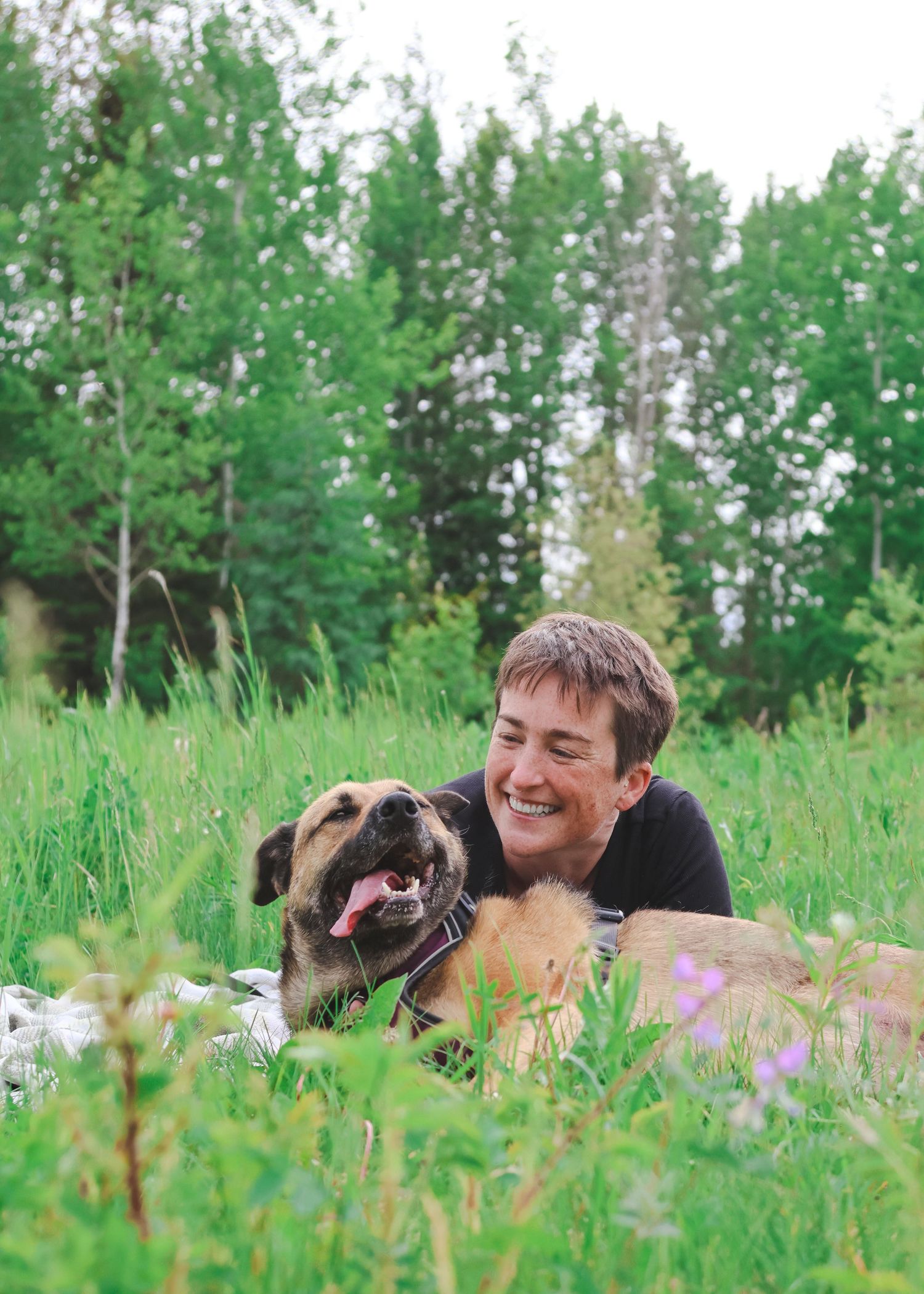 Happy man lying in green meadow smiling at a tan dog with tongue out surrounded by wildflowers.