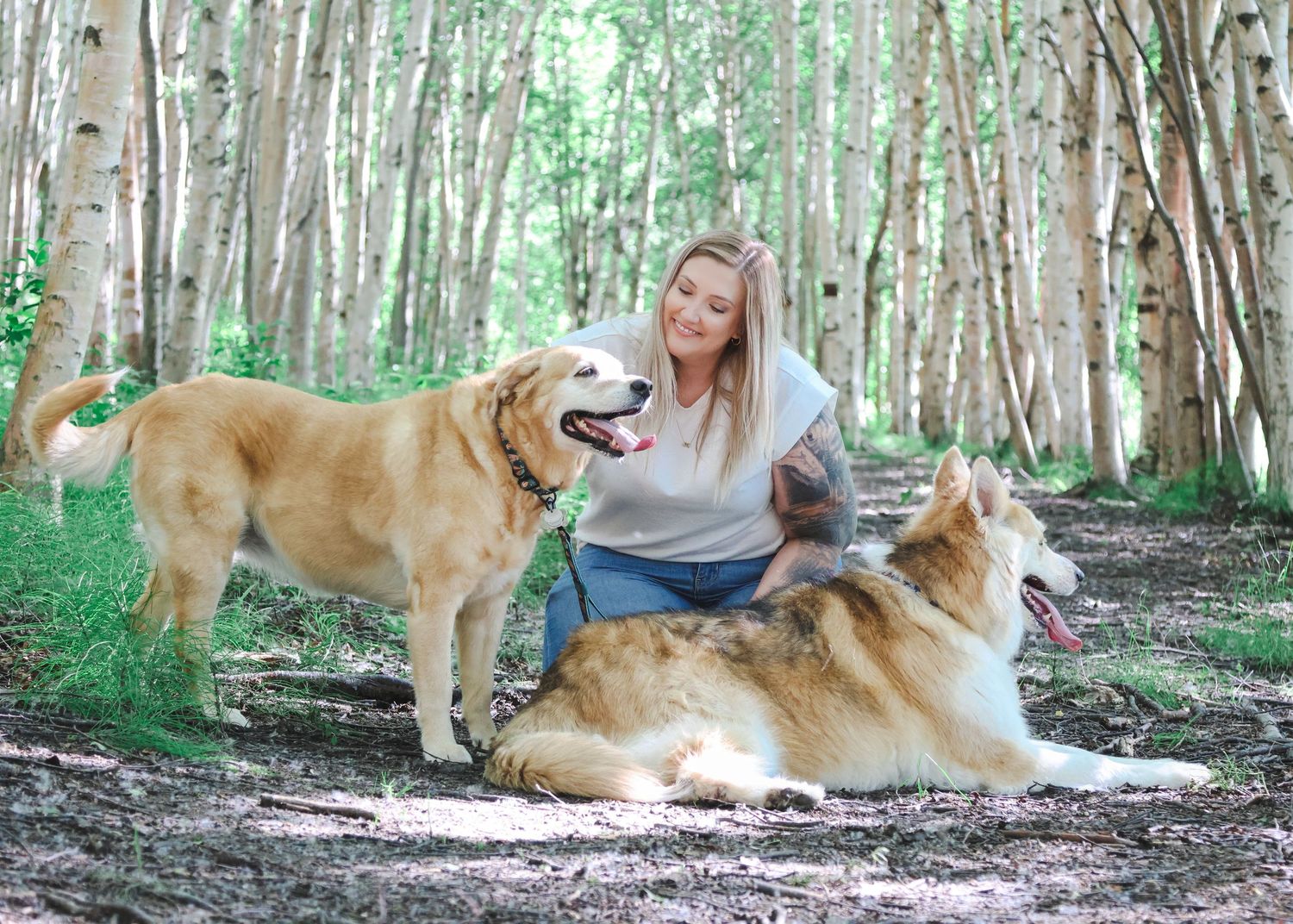 Woman sitting with two golden dogs in a birch tree forest on a sunny day.