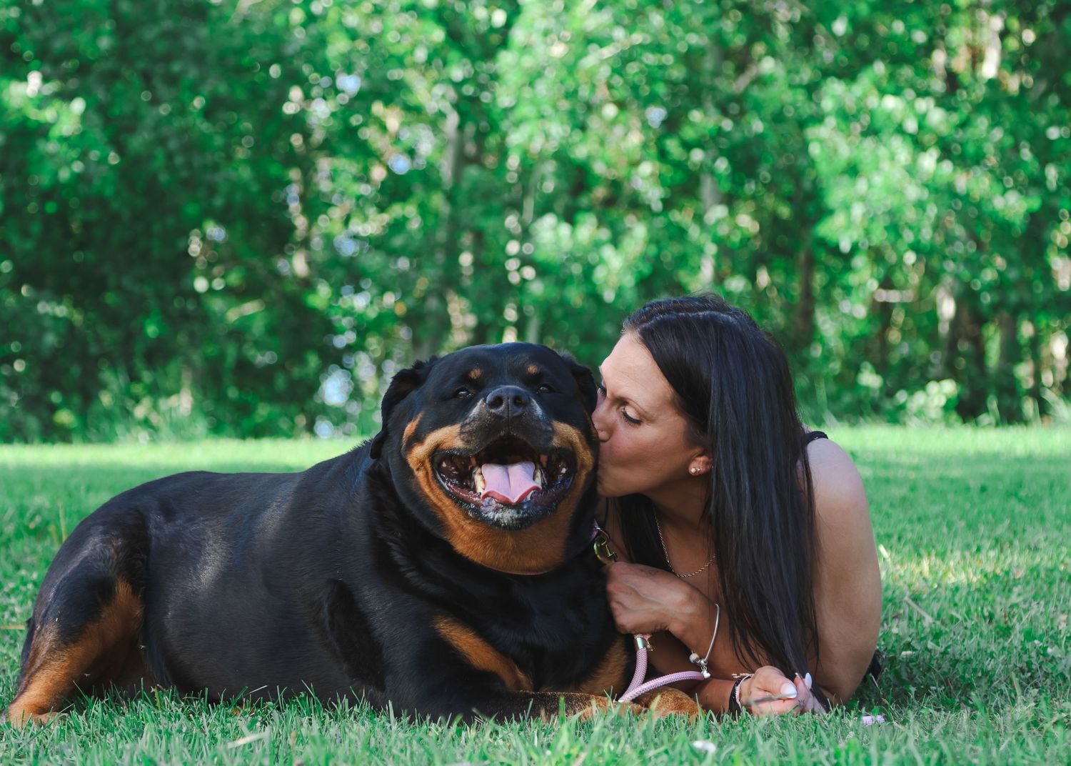 Woman kissing a happy Rottweiler dog lying on green grass in a sunny park.