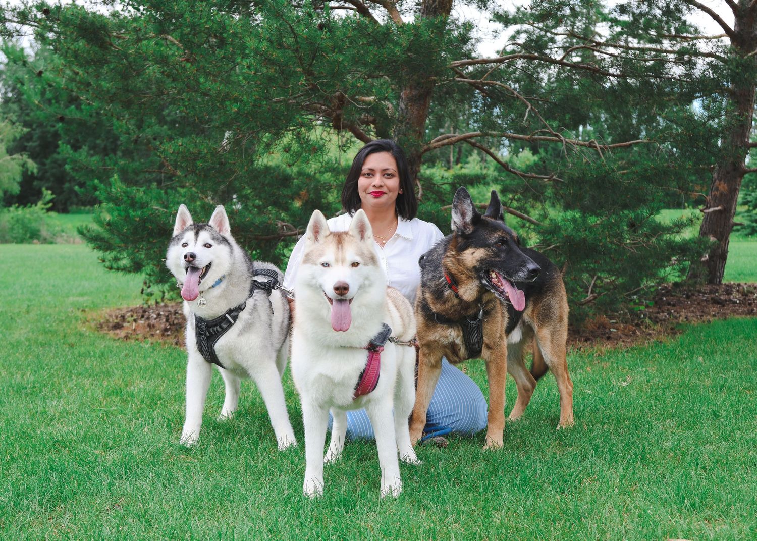 Woman posing outdoors with two Siberian Huskies and a German Shepherd on green grass with pine trees.