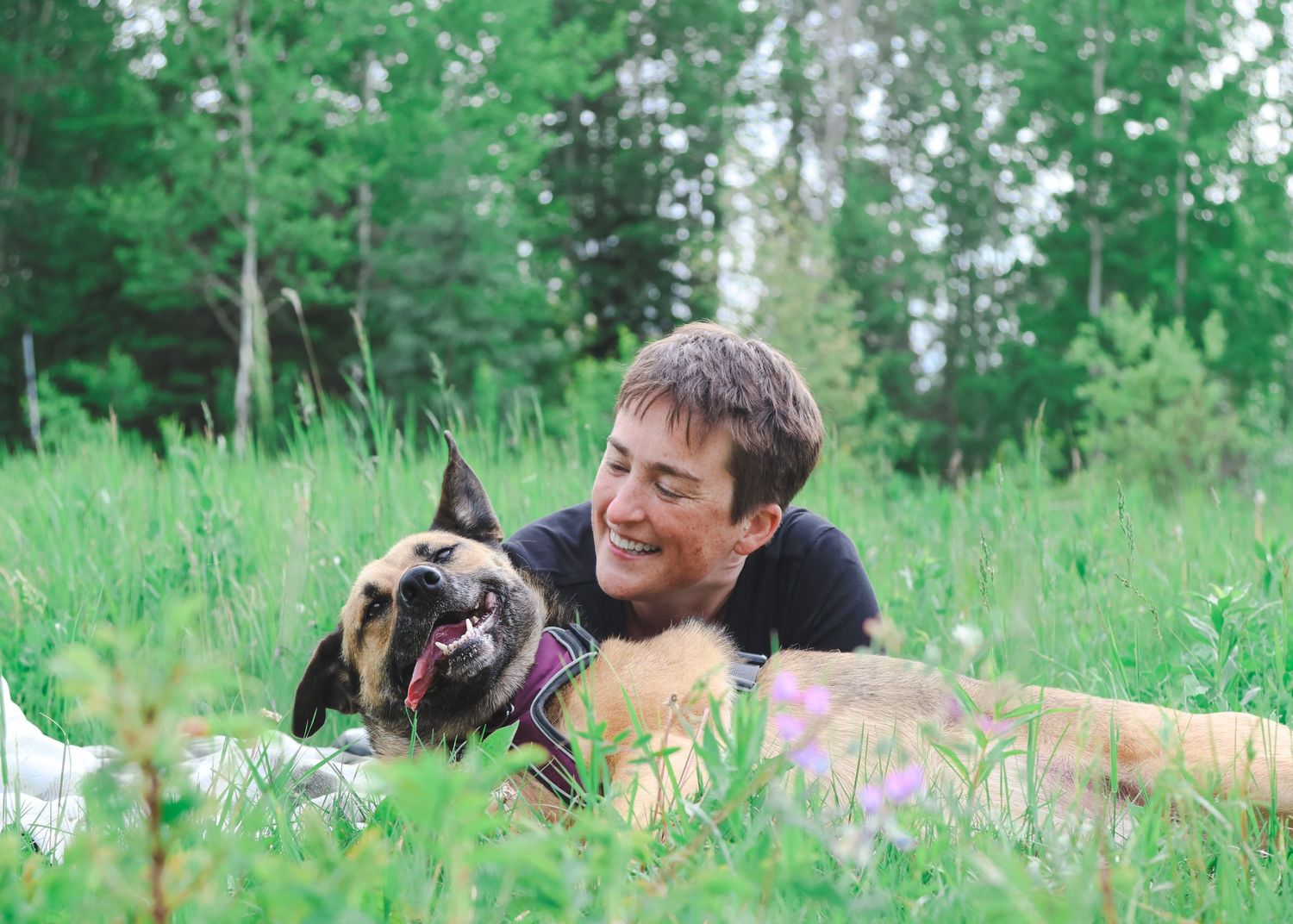 A smiling man lying in a lush green meadow with a happy dog, surrounded by wildflowers and trees.