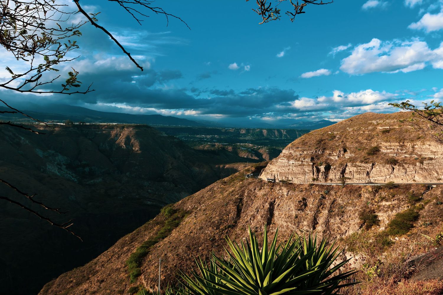 Panoramic view of a dramatic canyon landscape with layered rock formations, agave plant, and vibrant blue cloudy sky.