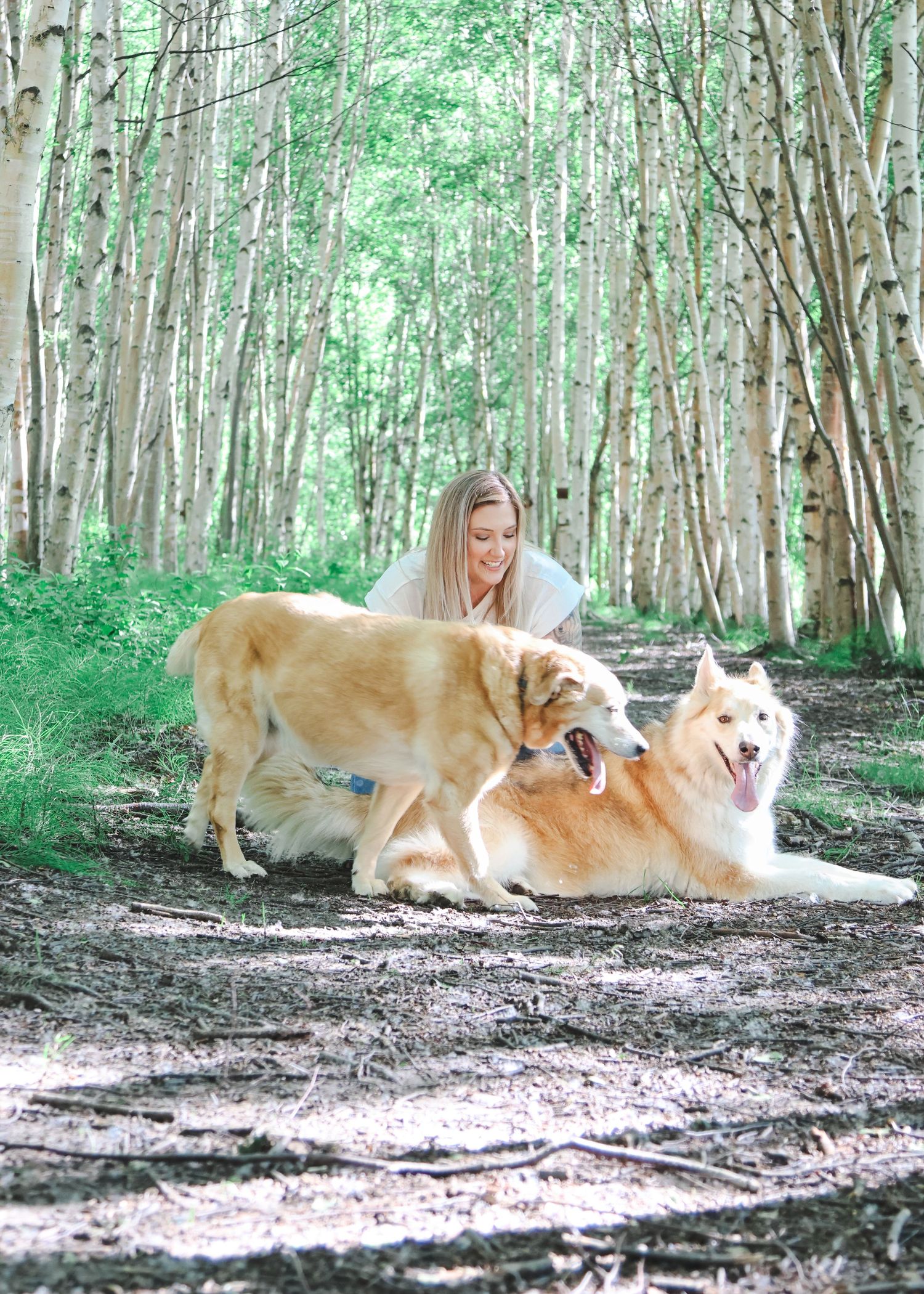 Blonde woman petting two golden dogs lying in a sunlit birch forest on a dirt path.