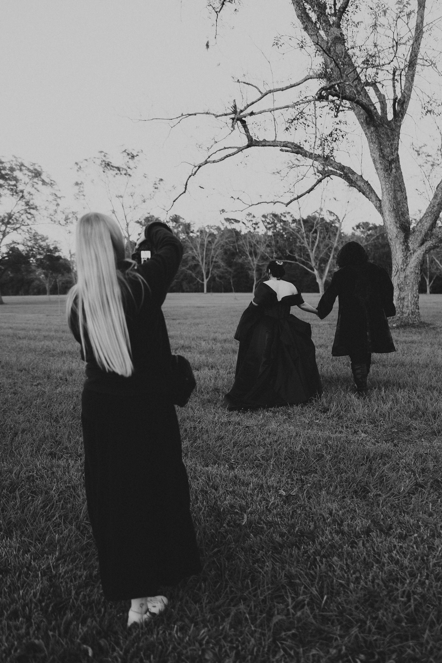 Dark figures in black cloaks move mysteriously through a grassy field with bare trees in the background.