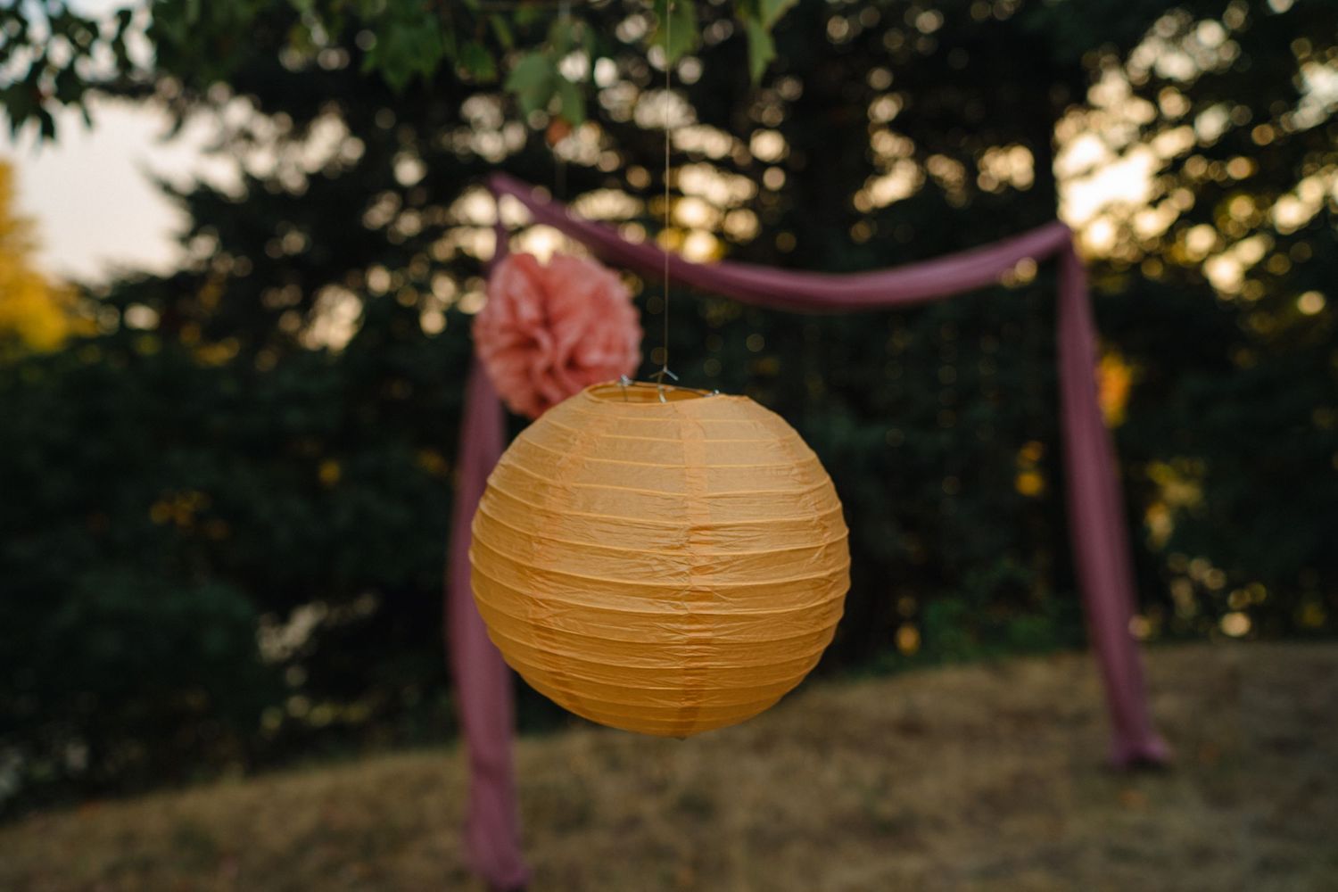 Yellow and pink paper lanterns hanging from trees at an outdoor event.