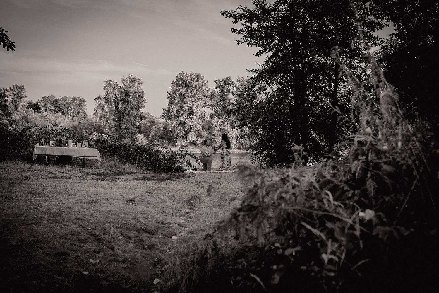 A black and white landscape photo showing trees and natural scenery.