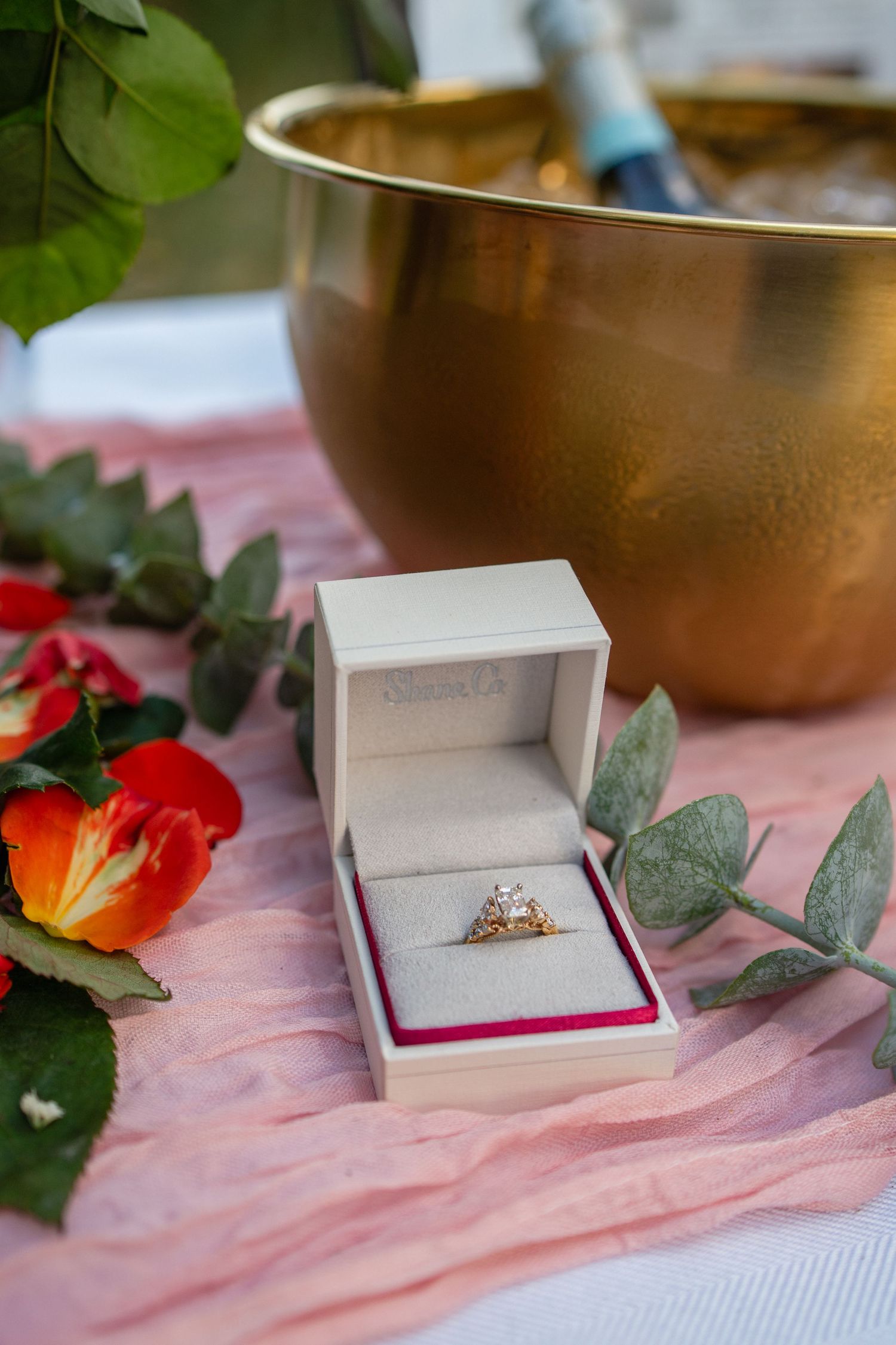 Close-up of engagement rings in white boxes with red flowers and pink fabric.