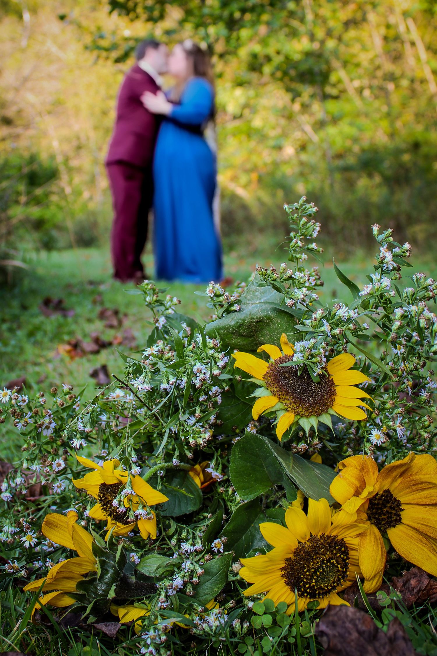 Beautiful bright sunflowers in the foreground with blurred couple embracing in maroon and blue outfits in background.