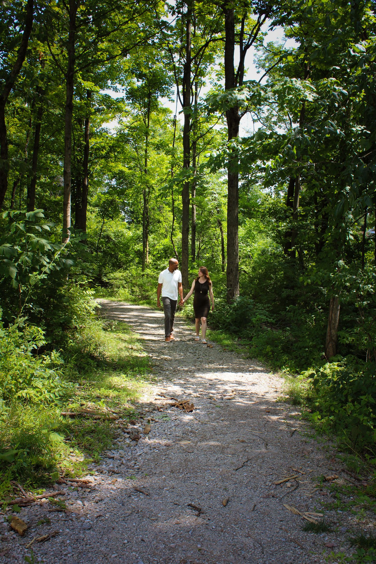 A gravel hiking trail winds through lush green forest with scattered sunlight filtering through the trees.