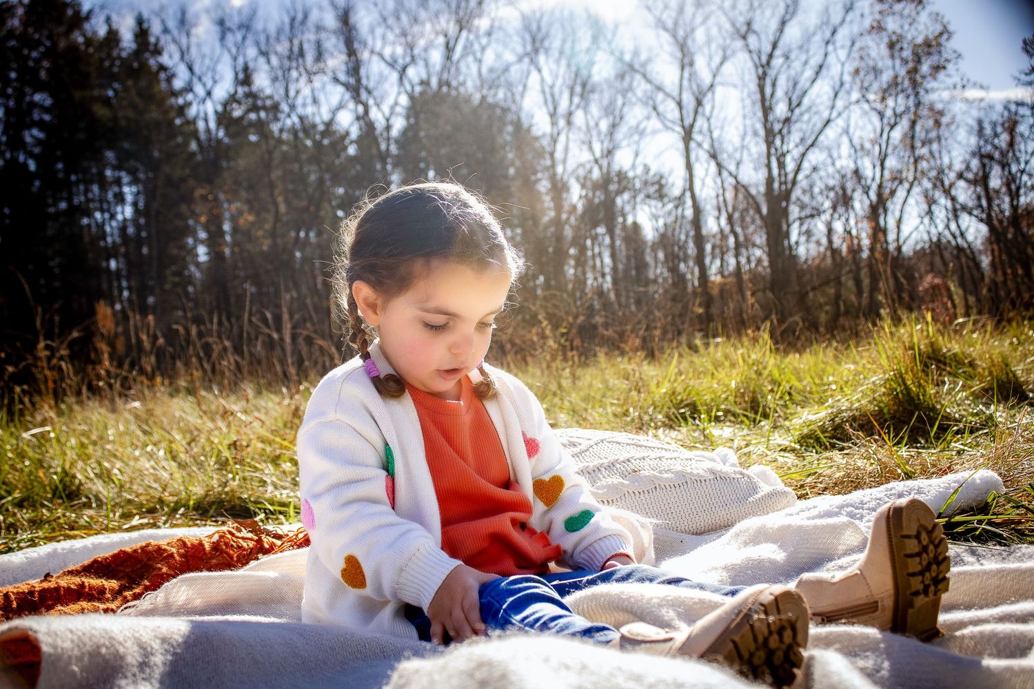 A collection of cozy picnic photos showing blankets, food, and autumn sunlight streaming through trees in a park setting.