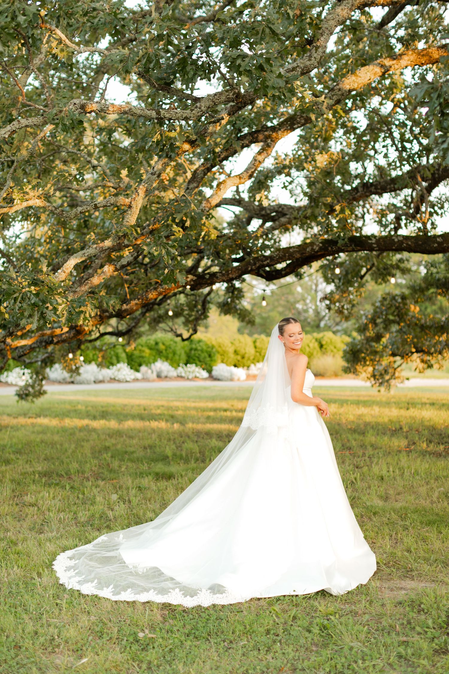 Dramatic cathedral-length train wedding dress photographed under oak trees in a natural setting.