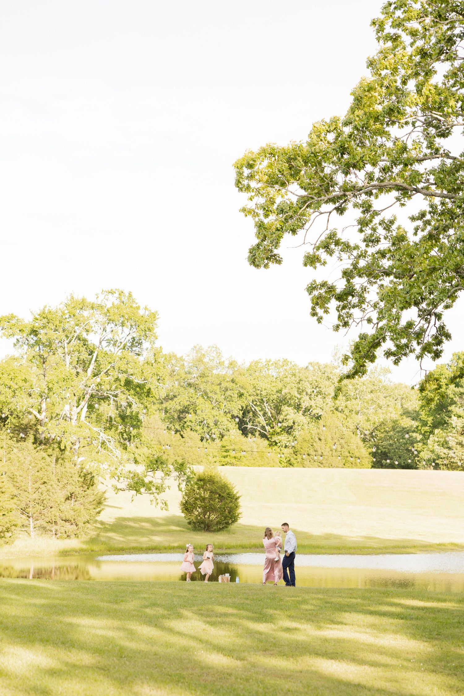 Distant view of people enjoying a sunny day on a grassy lawn near trees.