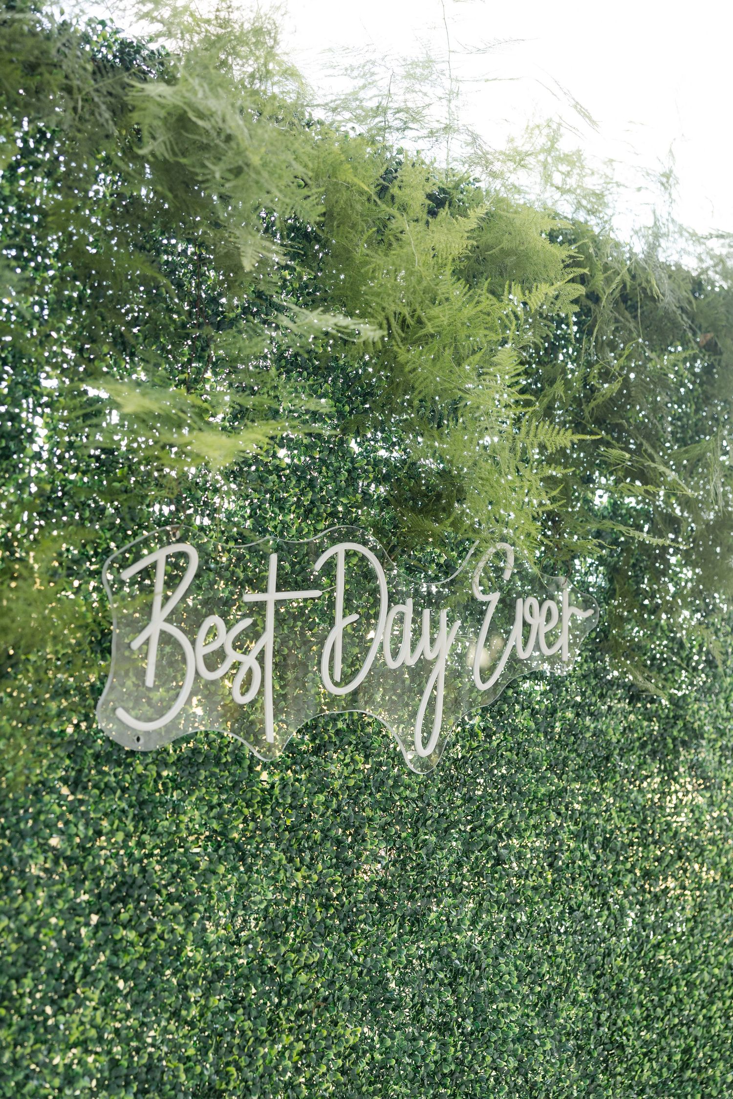Text written in white cursive lettering appears against a backdrop of green foliage and trees. Cold Springs Events.