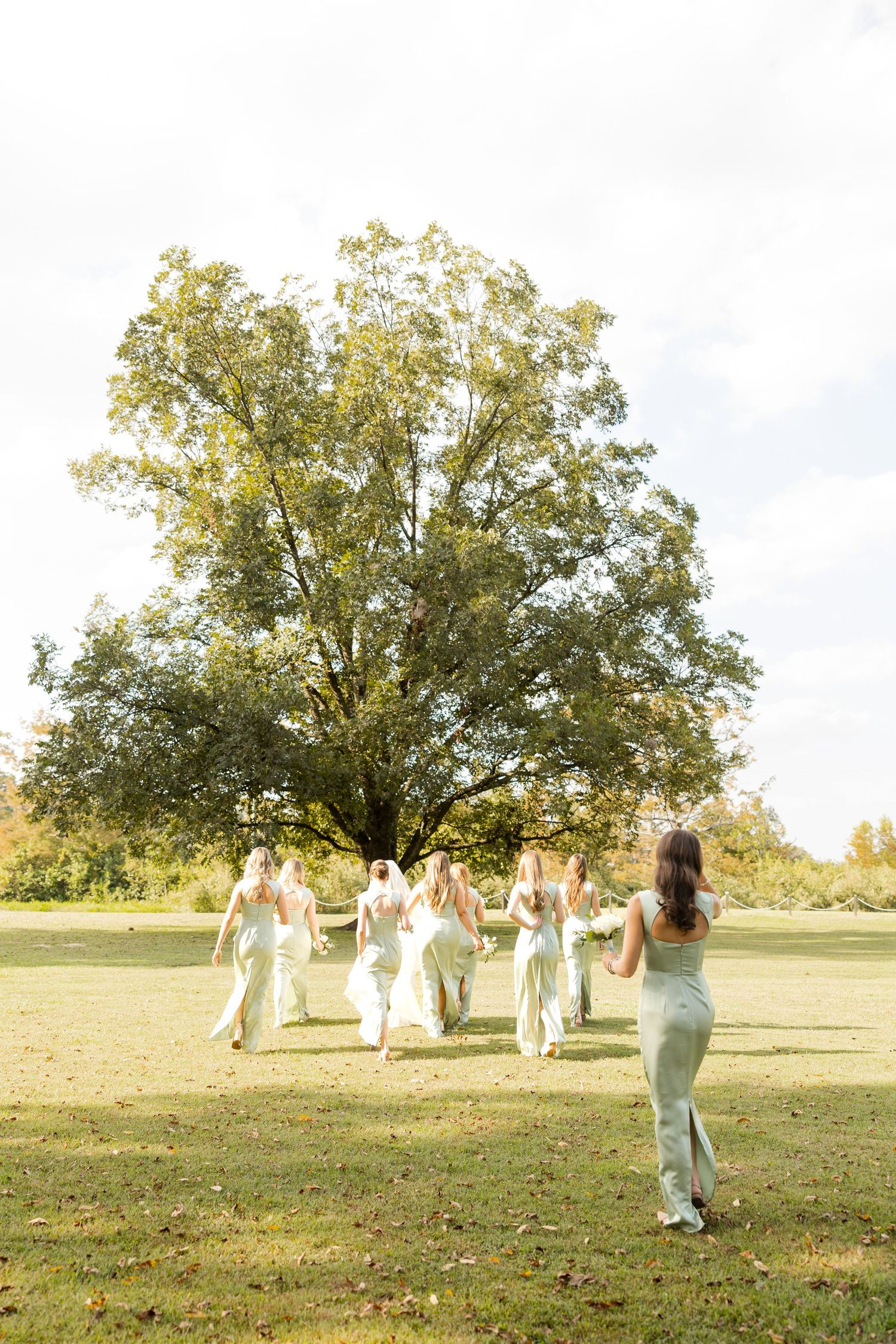 Wedding party walks across a grassy hillside on a sunny autumn afternoon.