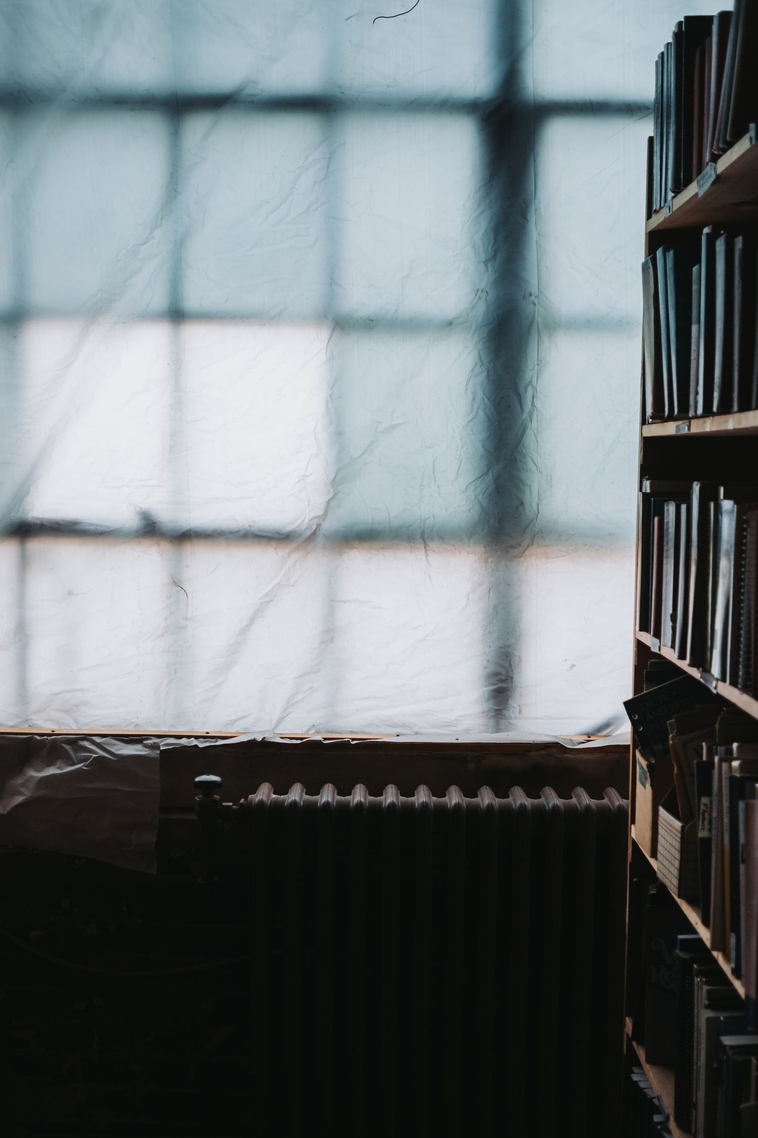 Library shelves photographed through glass with soft focus and natural lighting.