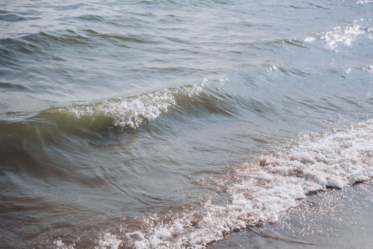 Gentle ocean waves washing onto a sandy beach shore with white sea foam and rippling blue-gray water.