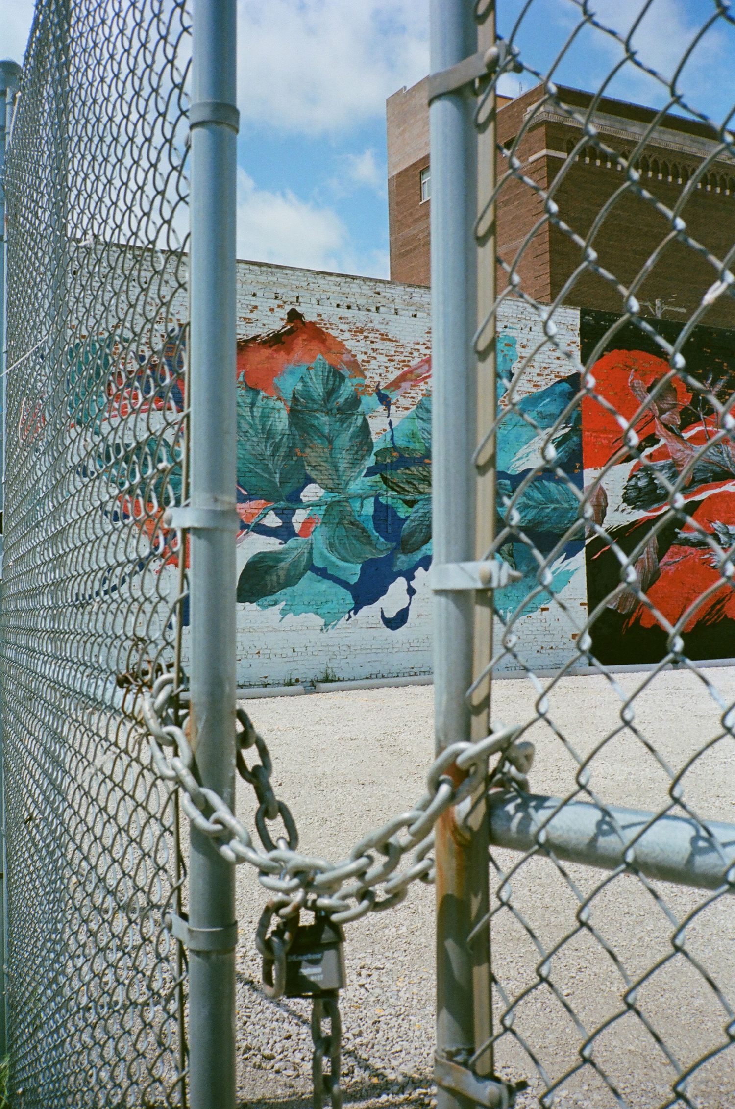 Artificial blue flowers woven through a chain link fence create an artistic urban garden installation.