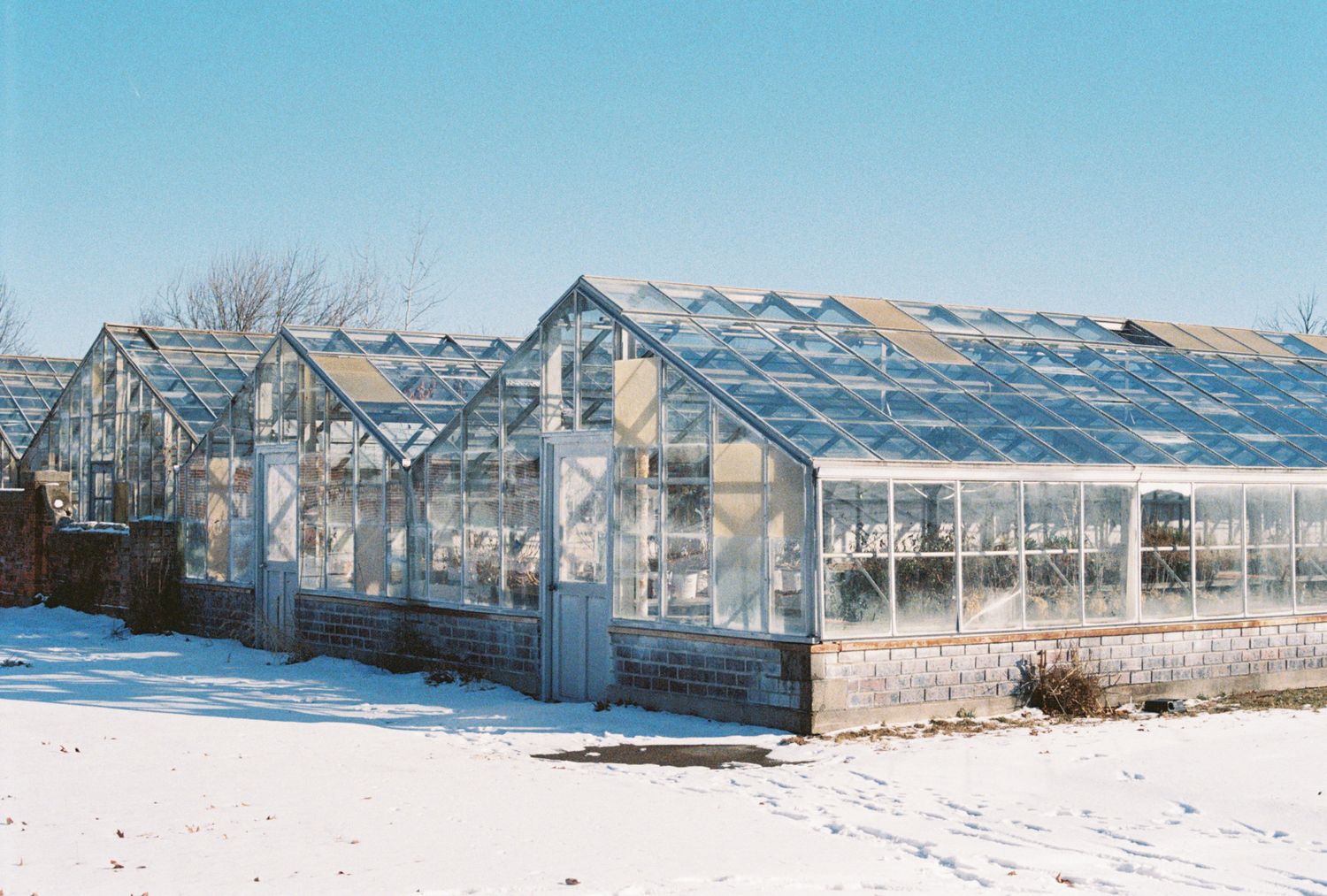 Snow-covered greenhouse complex with glass panels and metal framework.