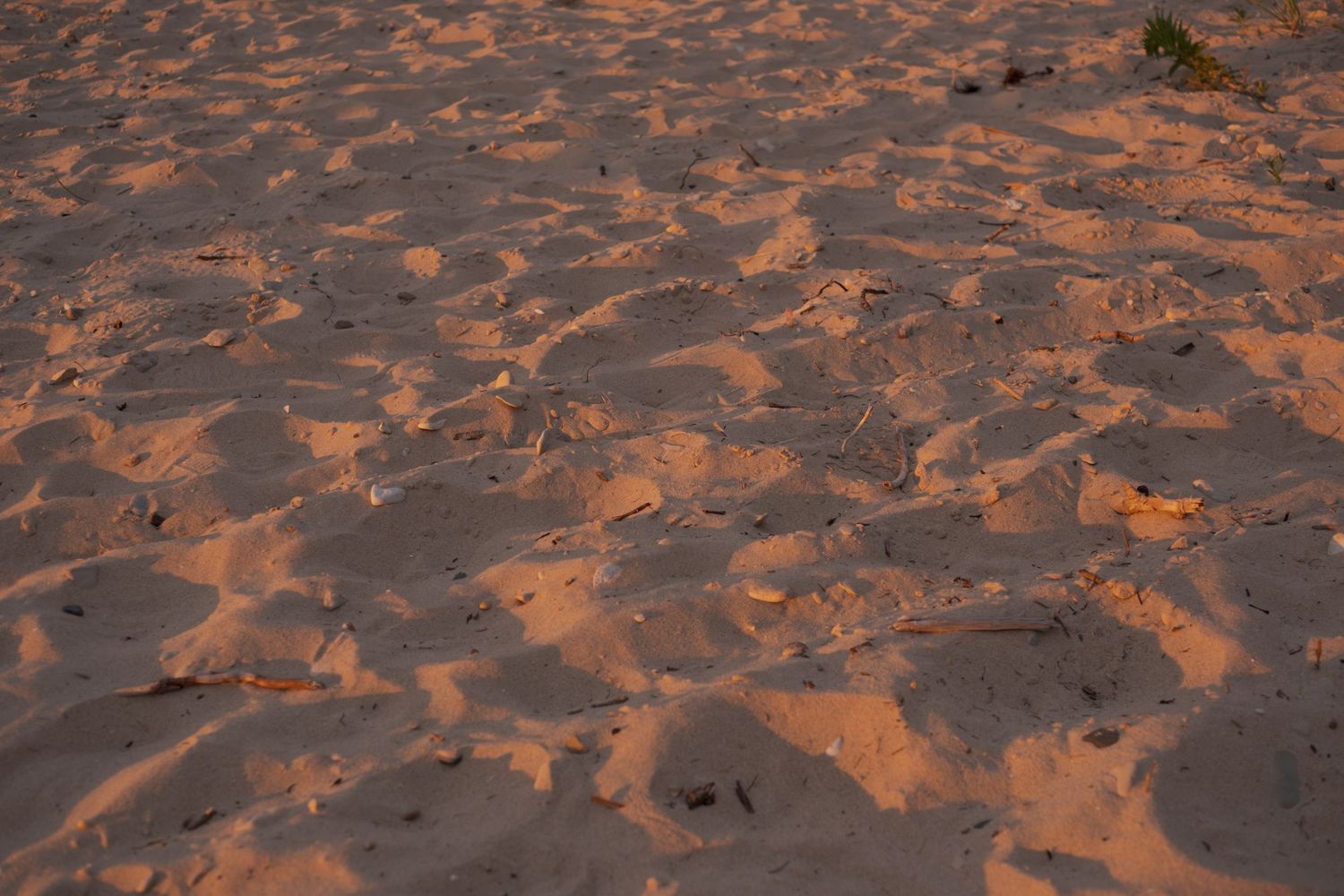 Textured sand dunes illuminated by warm sunset light creating rippled patterns.