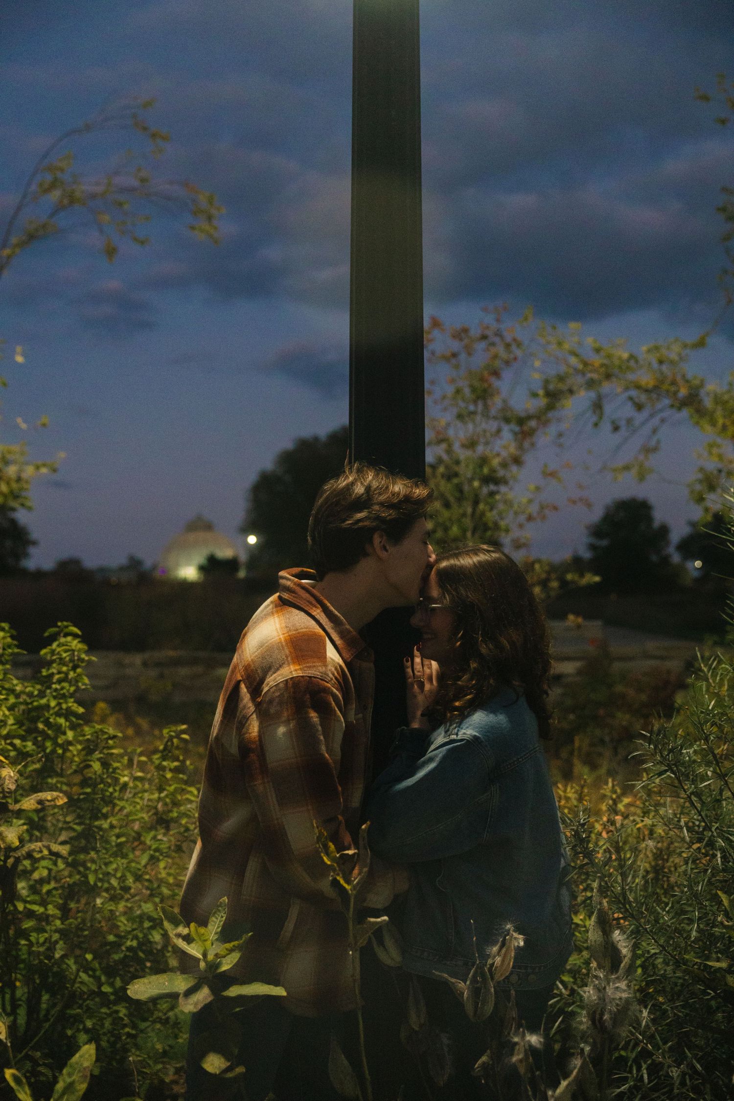 Couple sharing a kiss at dusk surrounded by wildflowers with a dark tower silhouette behind them.