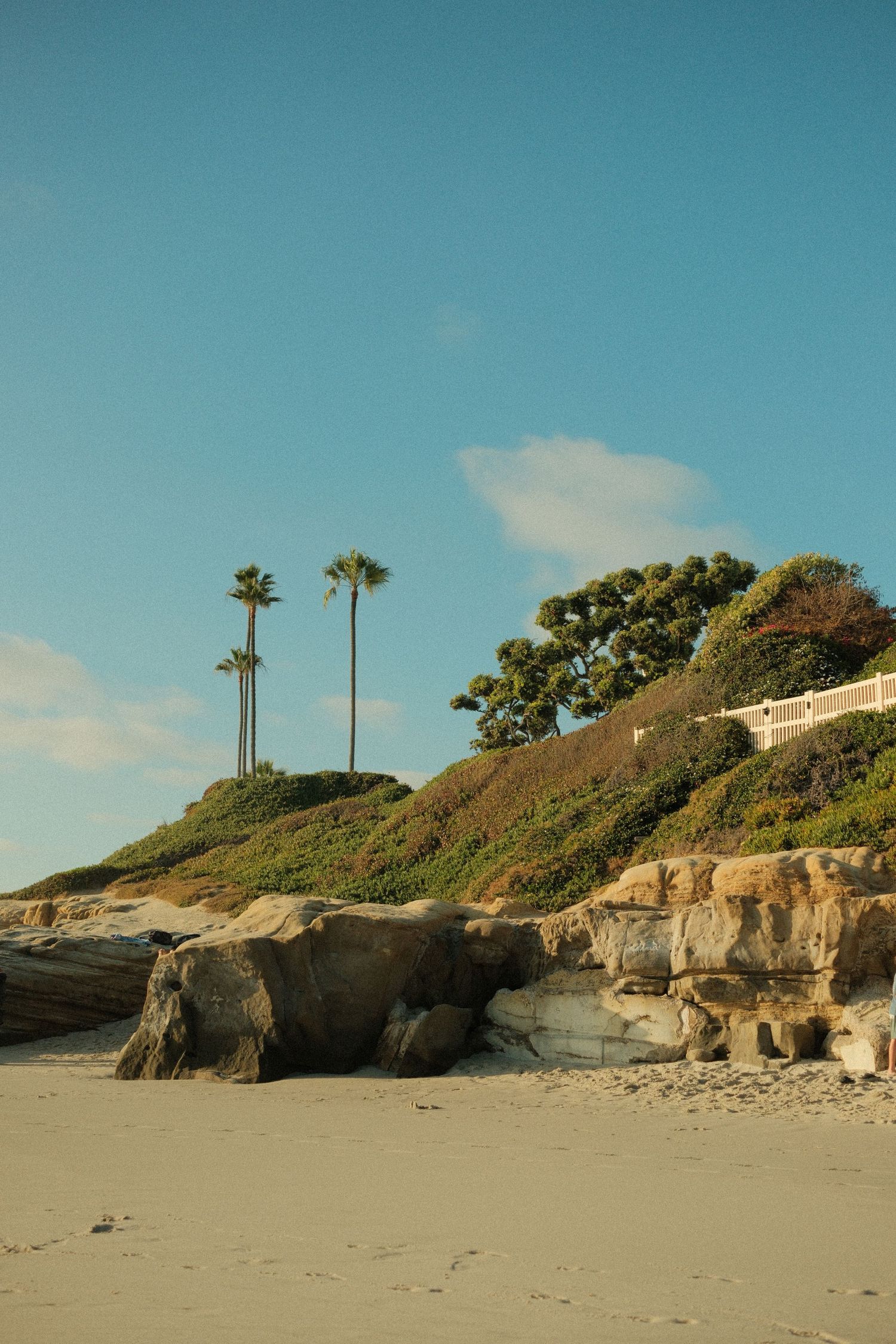 Sandy beach with rocky cliffs, lush greenery, and tall palm trees against a clear blue sky.