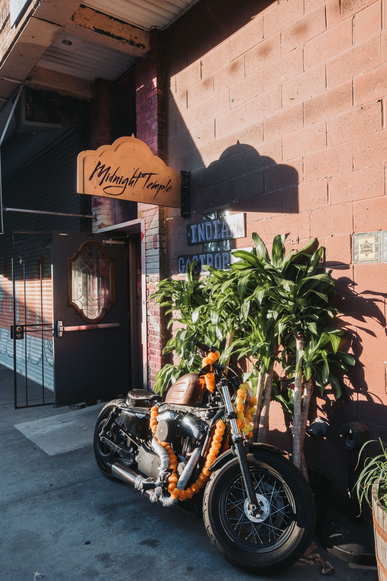 Vintage motorcycles parked in a row outside a brick building with potted plants.