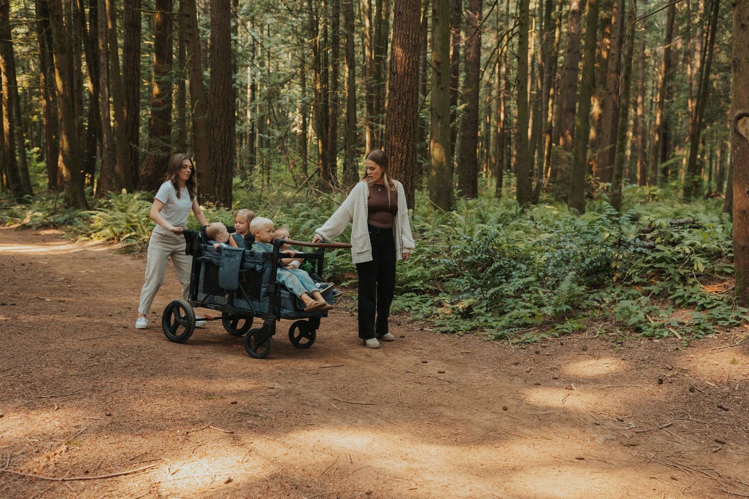 Forest path with stroller visible among tall pine trees.