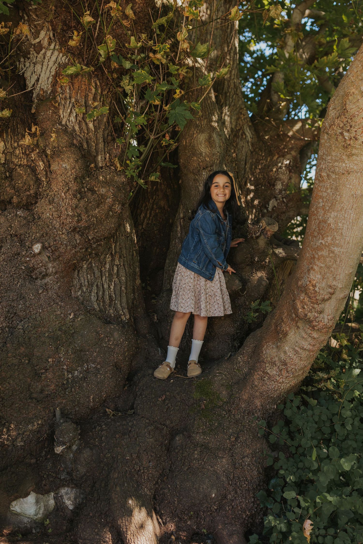 A series of whimsical poses around a large tree trunk in natural lighting.