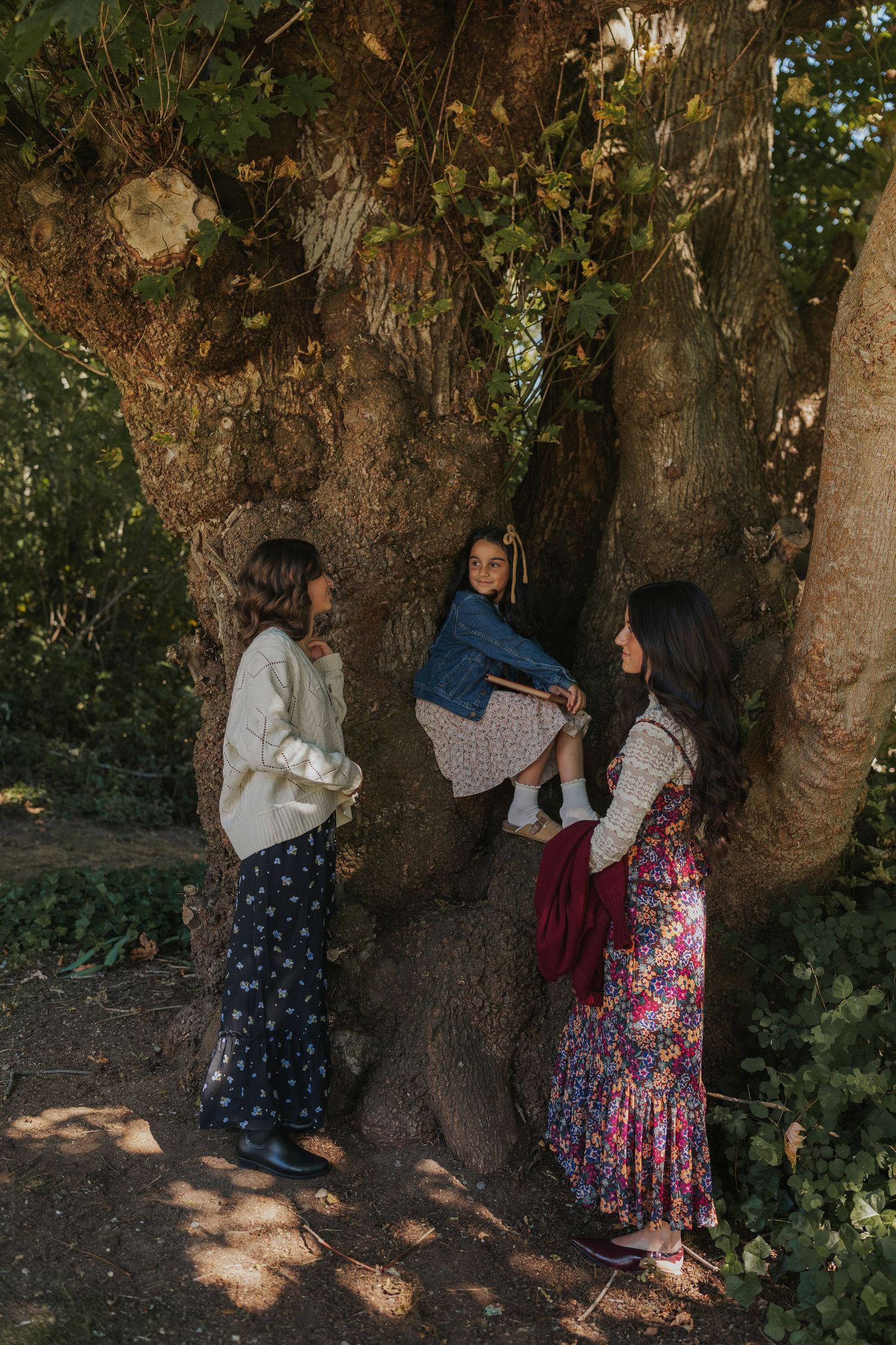 A group gathers around a large tree trunk in a wooded outdoor setting on a sunny day.