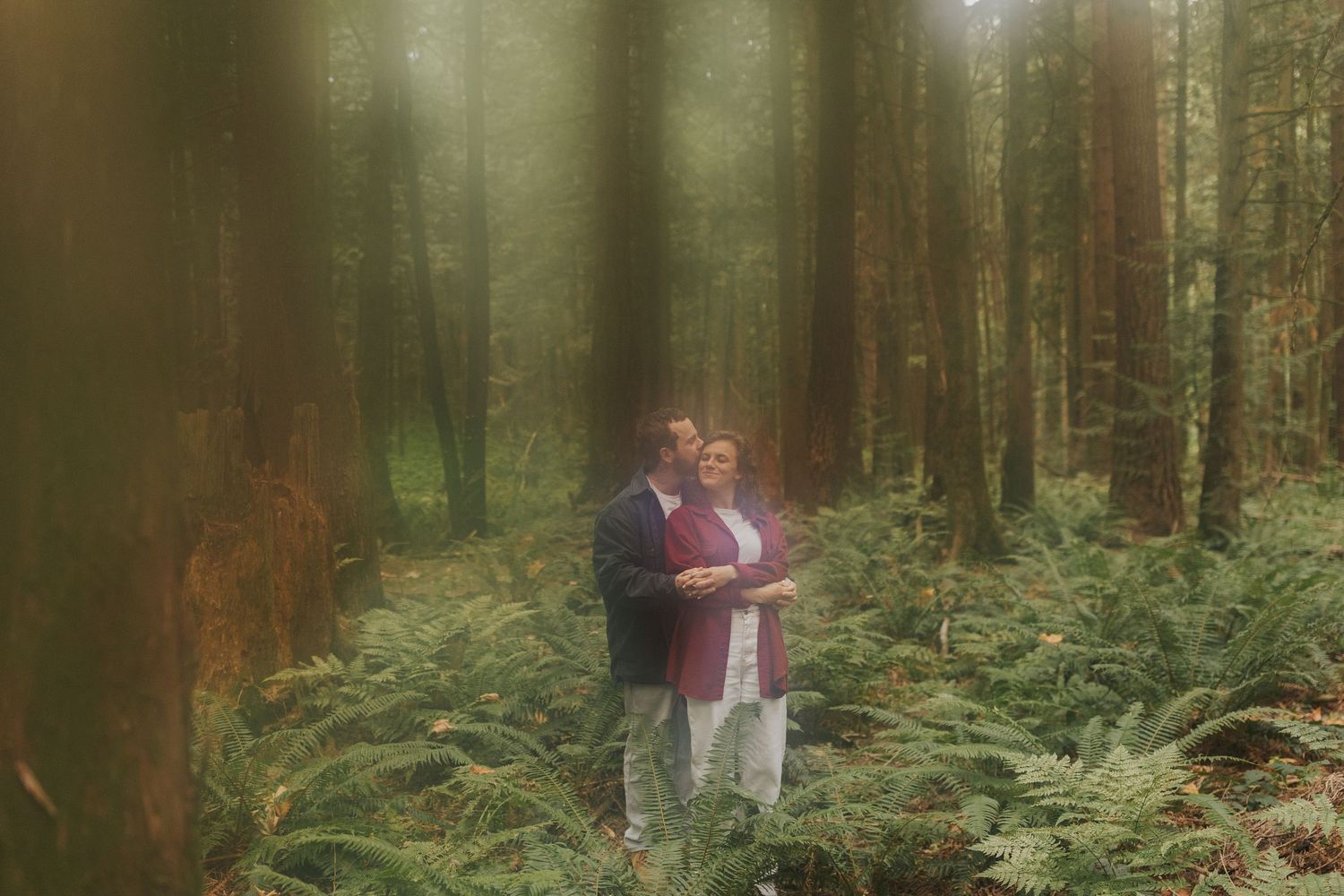 A couple embraces in a misty forest setting surrounded by tall trees and lush ferns.