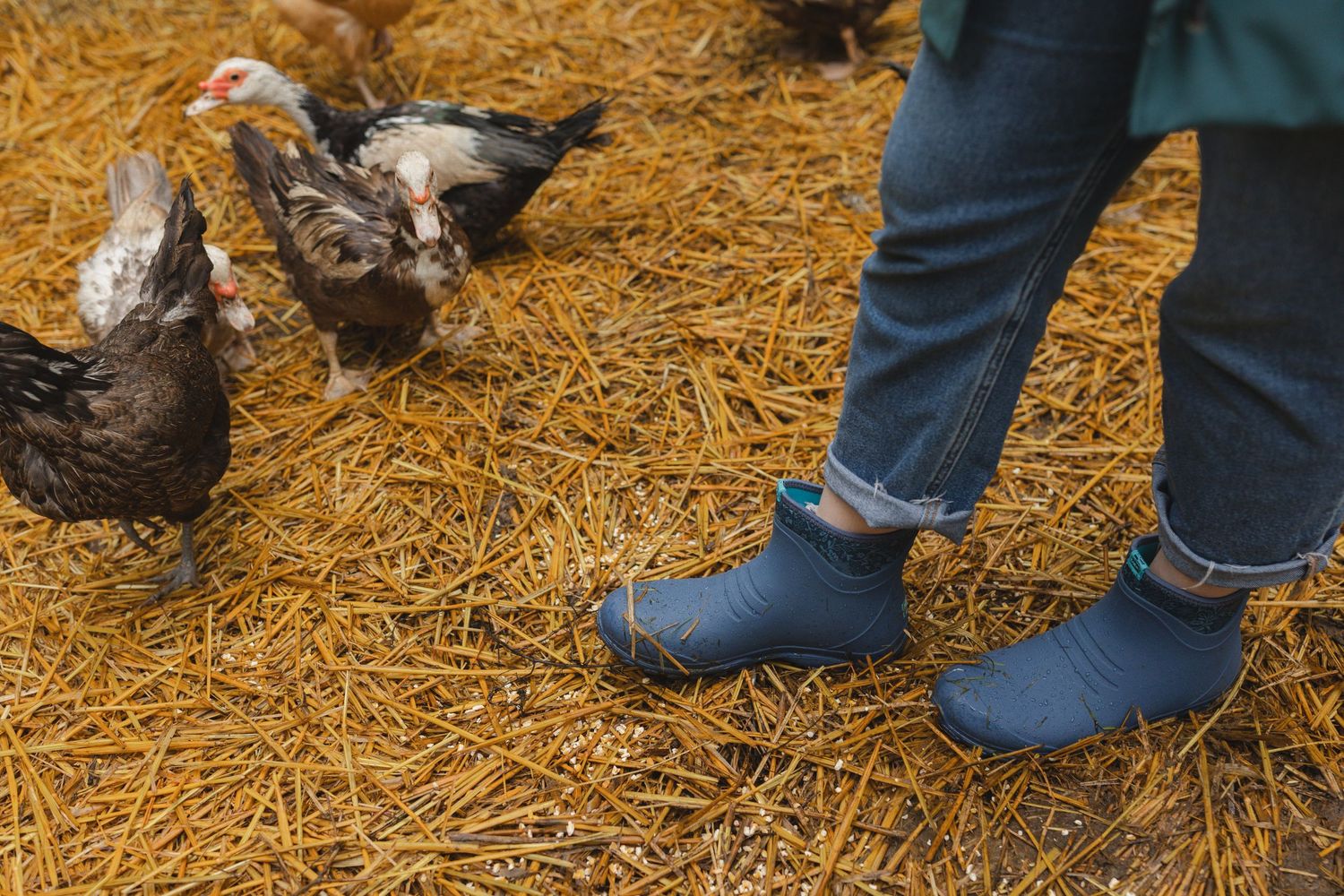 Close-up view of boots walking on hay-covered ground.