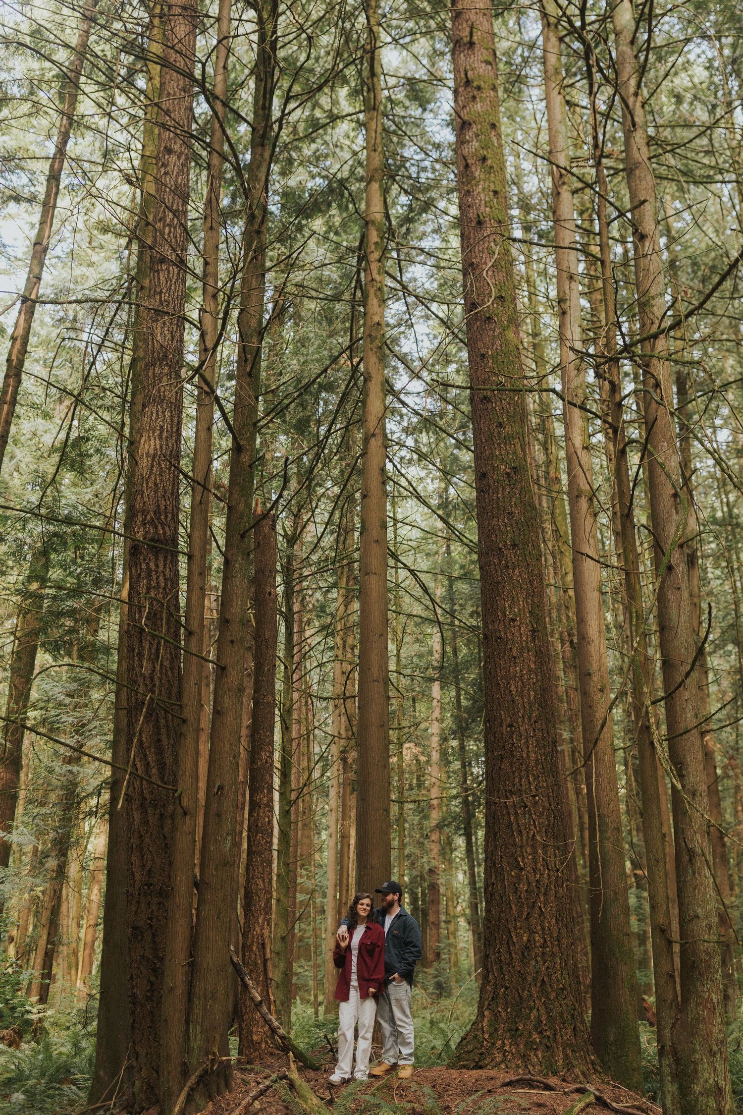 A romantic forest photoshoot with towering pine trees creating a natural backdrop.