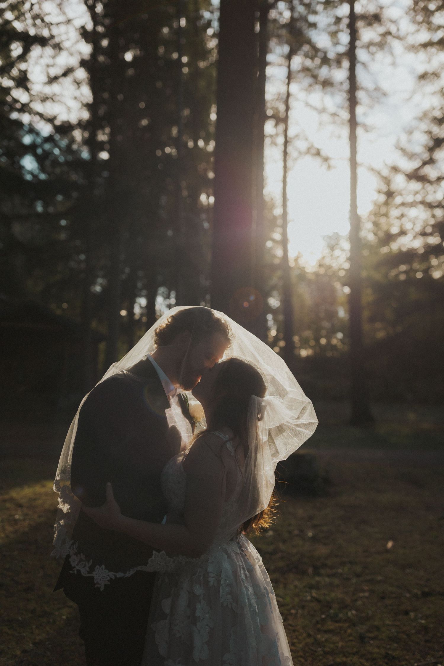A backlit wedding portrait in a forest with golden sunlight streaming through the trees.