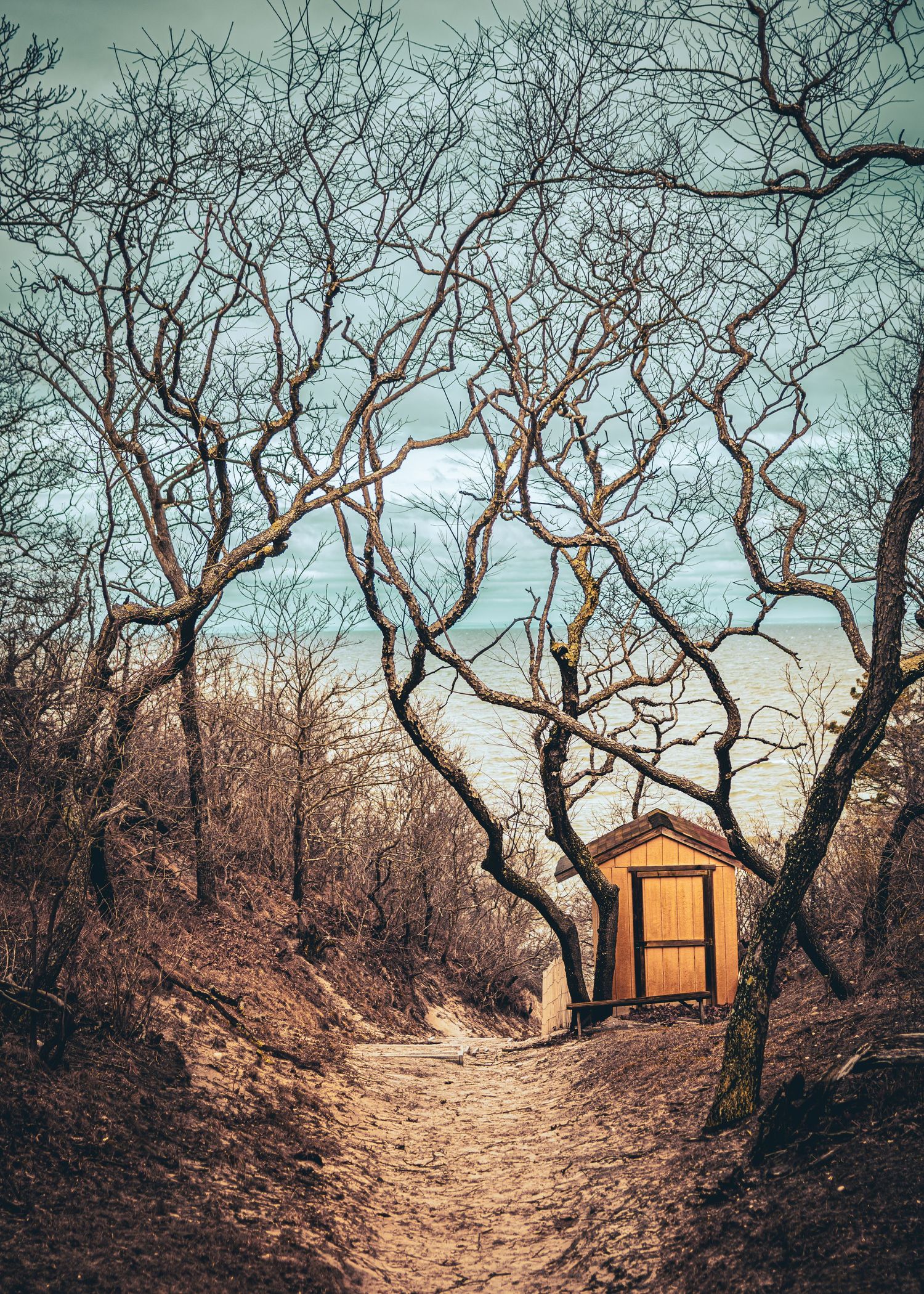 A winding dirt path through bare winter trees leads to a glowing orange lantern in the misty forest at dusk.