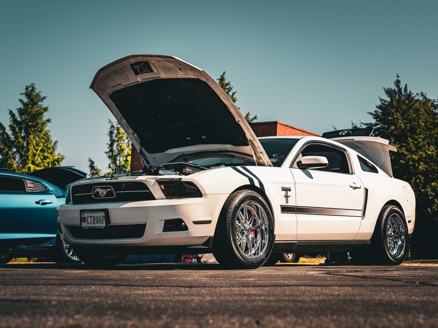 Low-angle view of multiple classic sports cars lined up at sunset showing their sleek profiles and curves.
