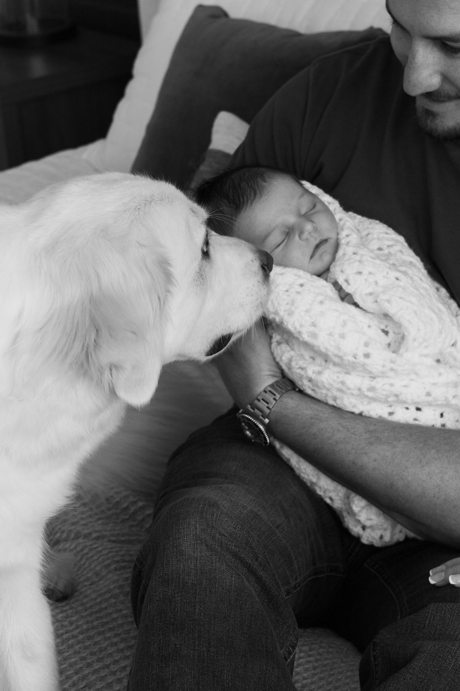 Family dog gently inspects newborn baby in dad's arms