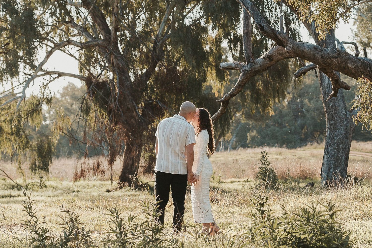 Couple in white standing beneath large gum trees in a golden sunlit field during an outdoor engagement shoot.