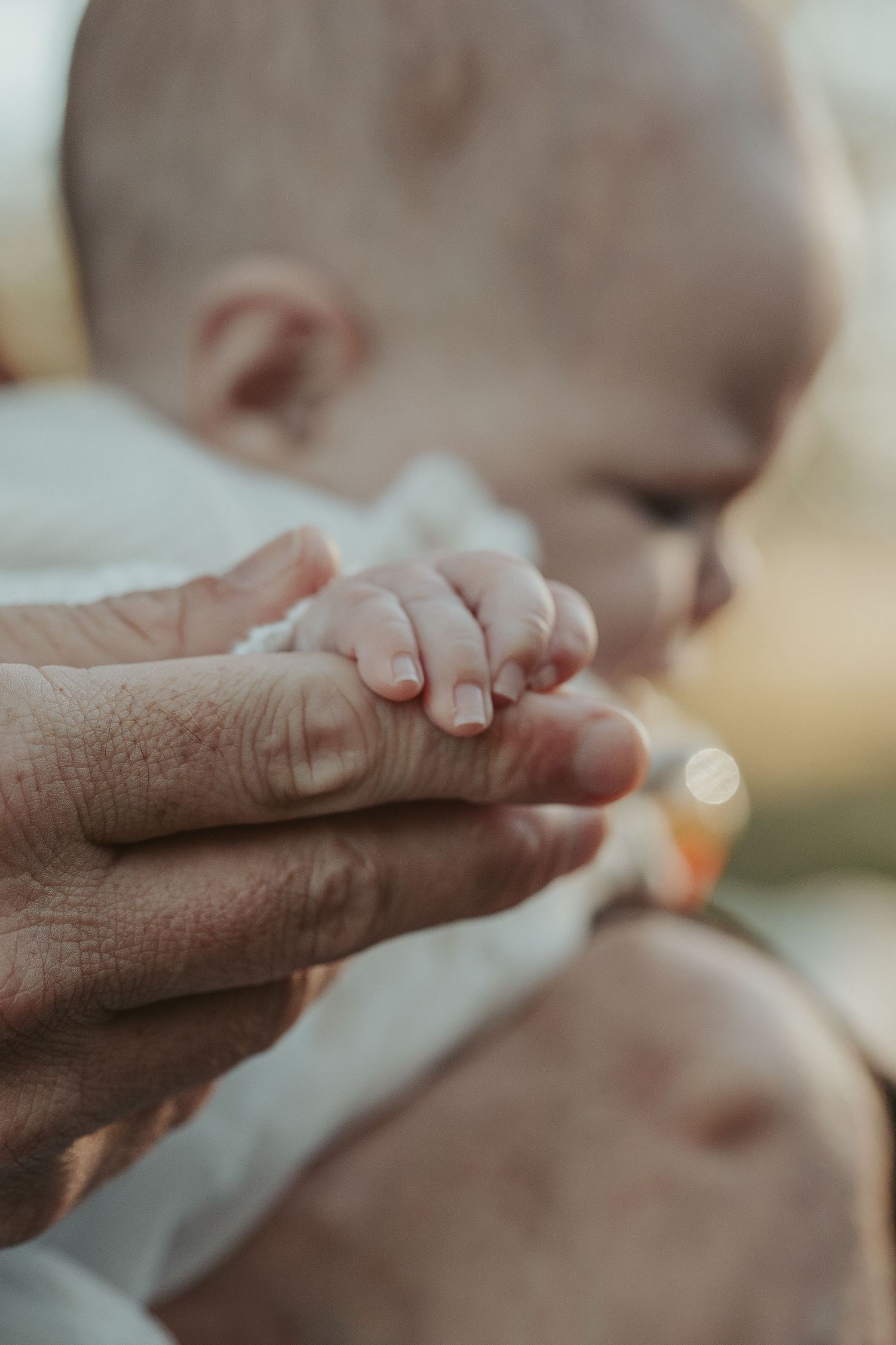 A newborn baby grasping an adult finger with tiny delicate hands in a tender close-up moment.