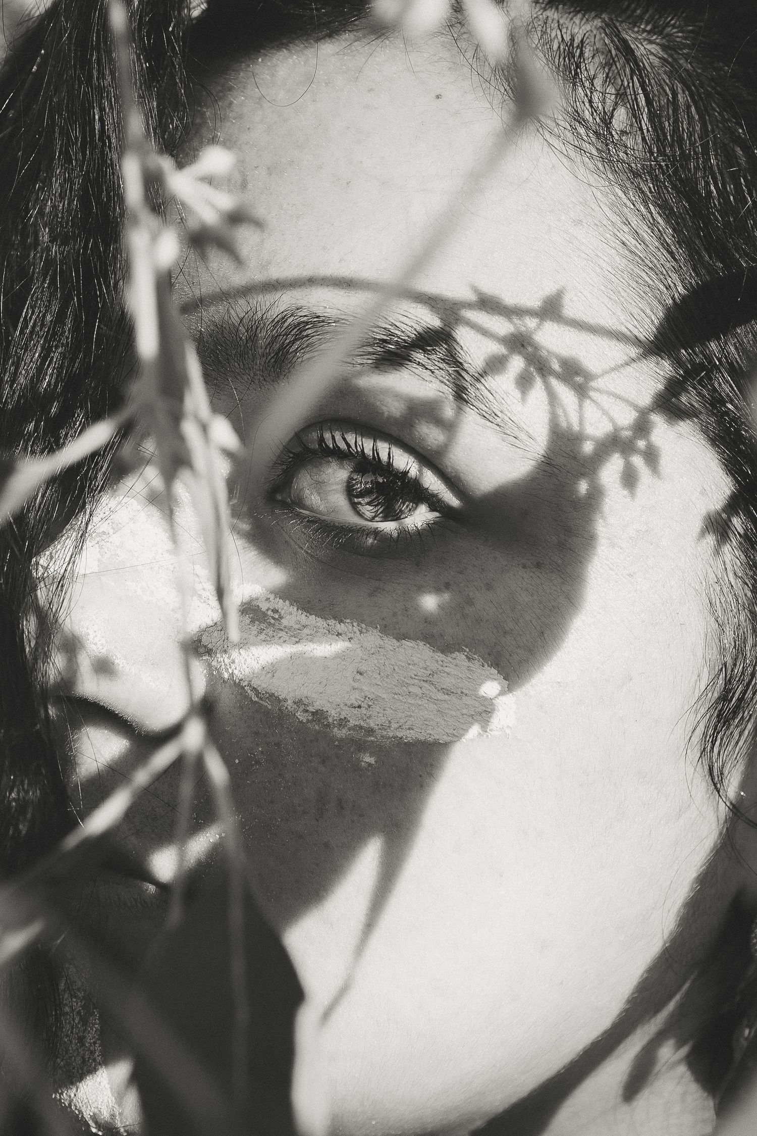 Black and white close-up portrait of a woman's eye through plant branches with dappled sunlight shadows.