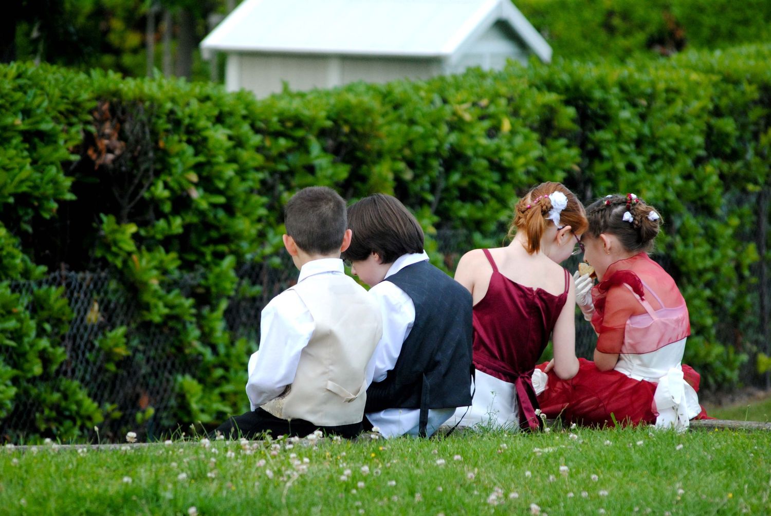 Children and a dog sitting together on green grass near hedges, dressed in formal attire for a special occasion.