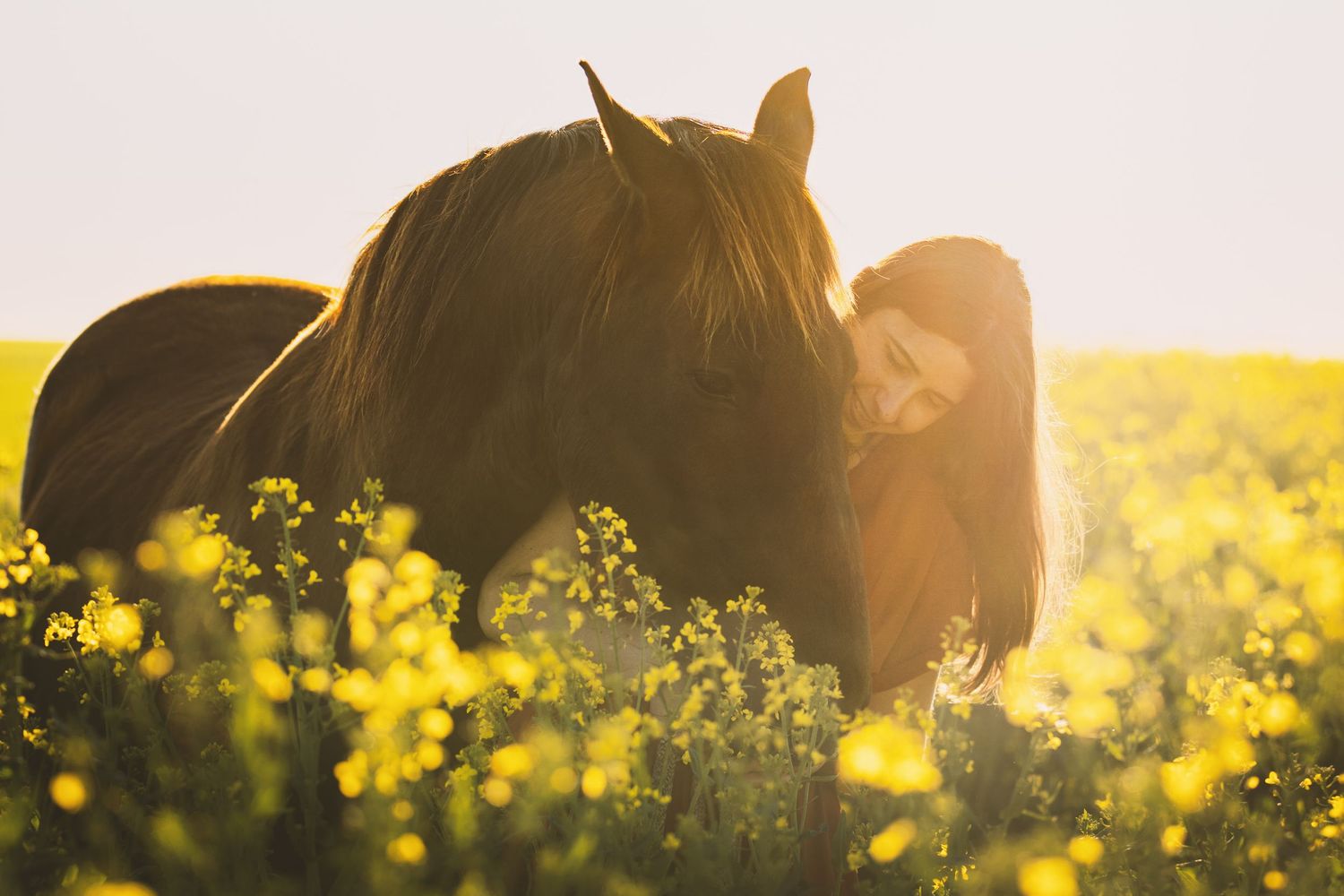 A woman tenderly nuzzles a dark horse in a sunlit field of yellow wildflowers.