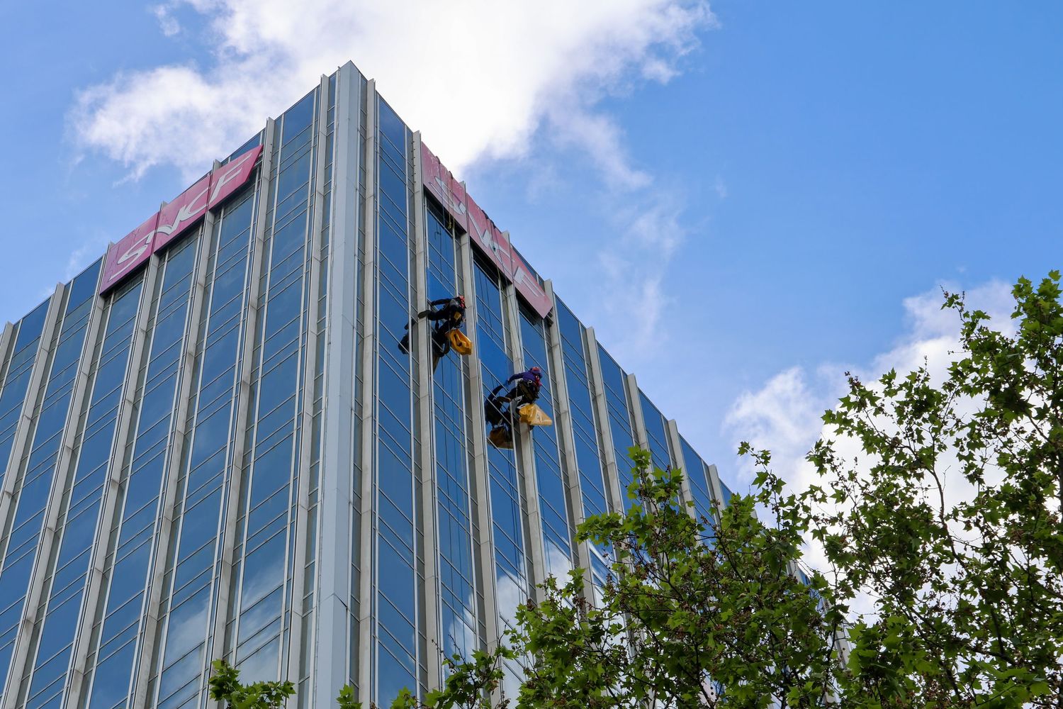 Two window washers rappel down a modern glass skyscraper facade under a bright blue sky with clouds and trees nearby.