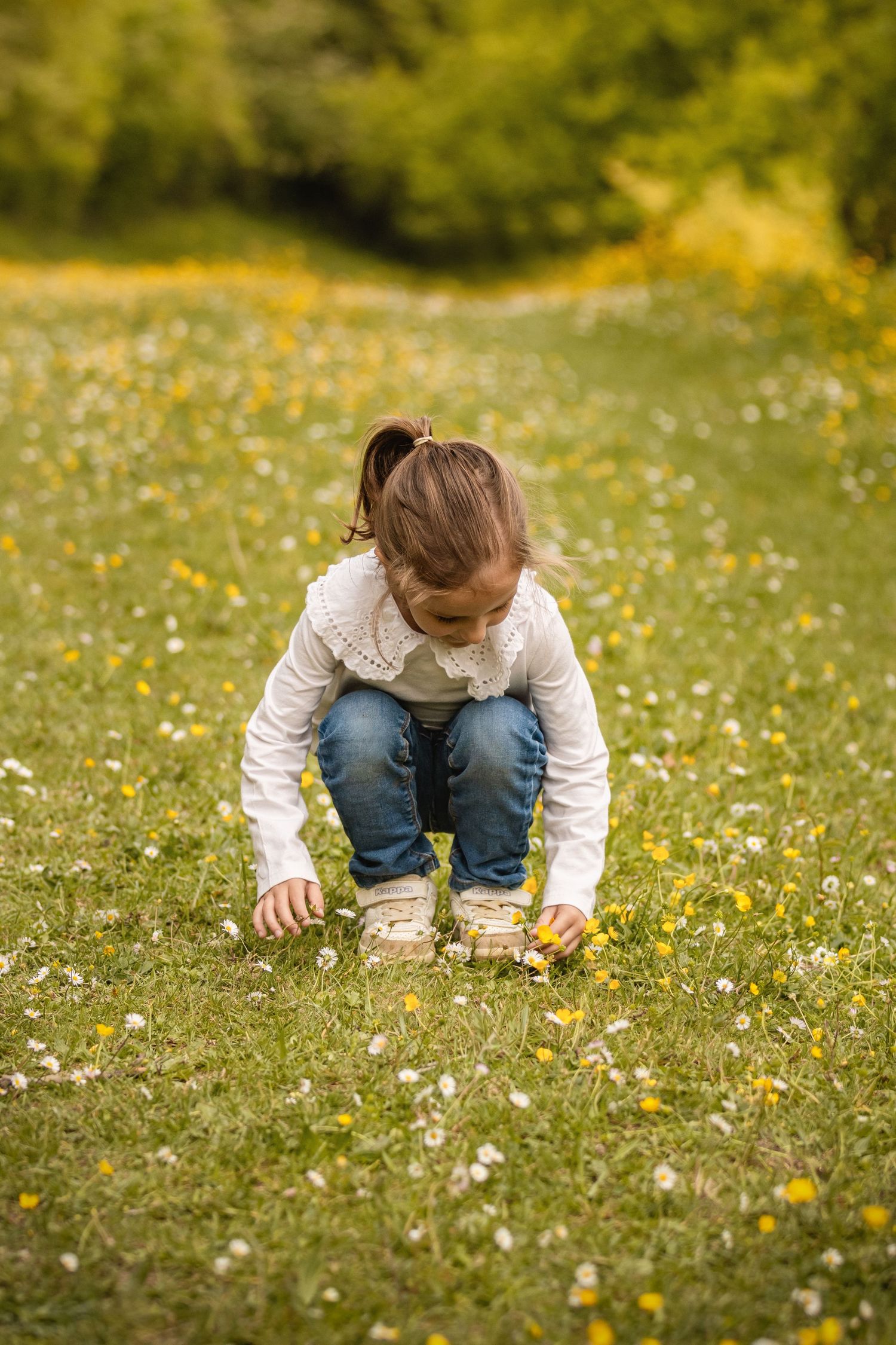 Young girl in white top and jeans picking wildflowers in a sunny green meadow filled with yellow and white blooms.